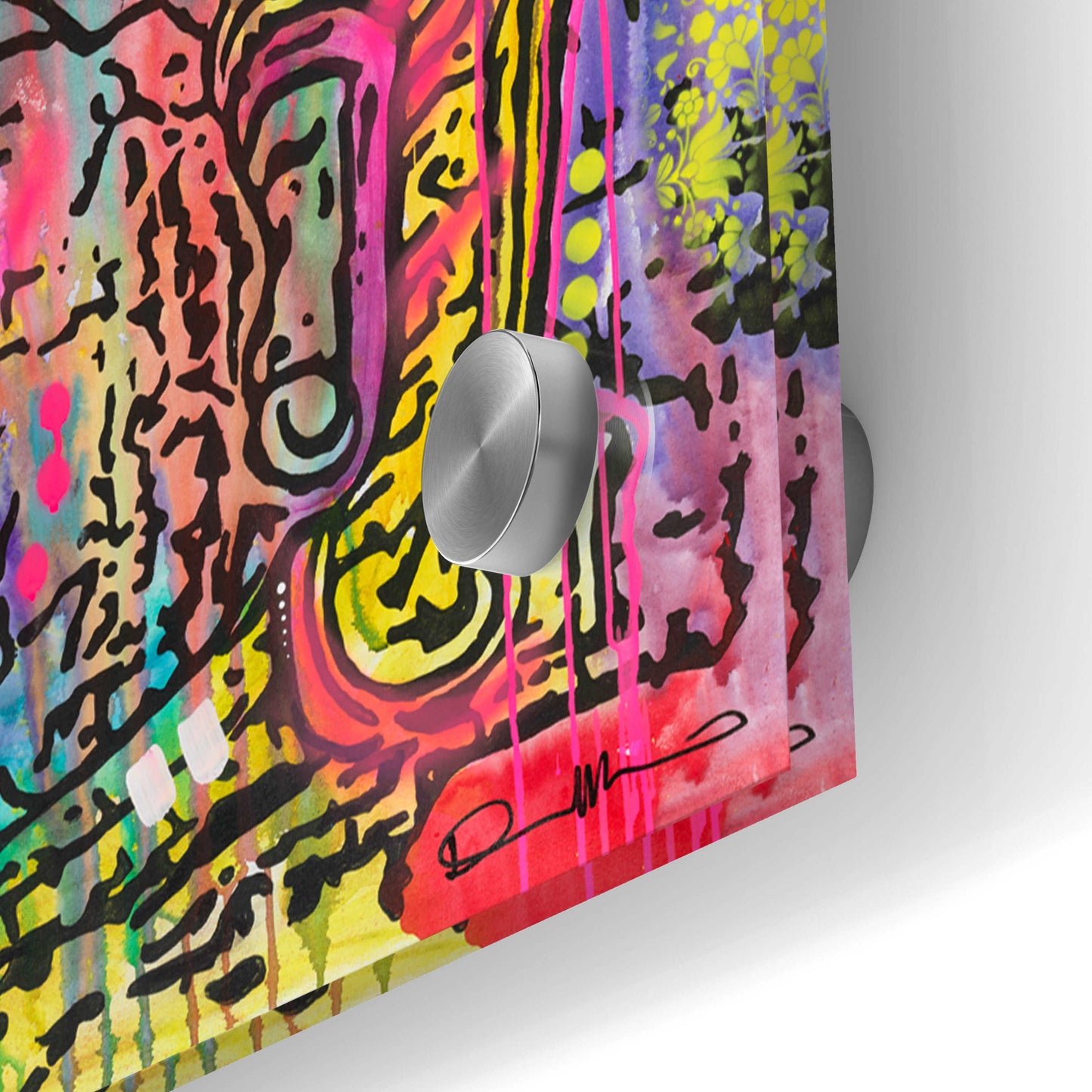 Epic Art 'Mt Peacemore' by Dean Russo, Acrylic Glass Wall Art,48x24