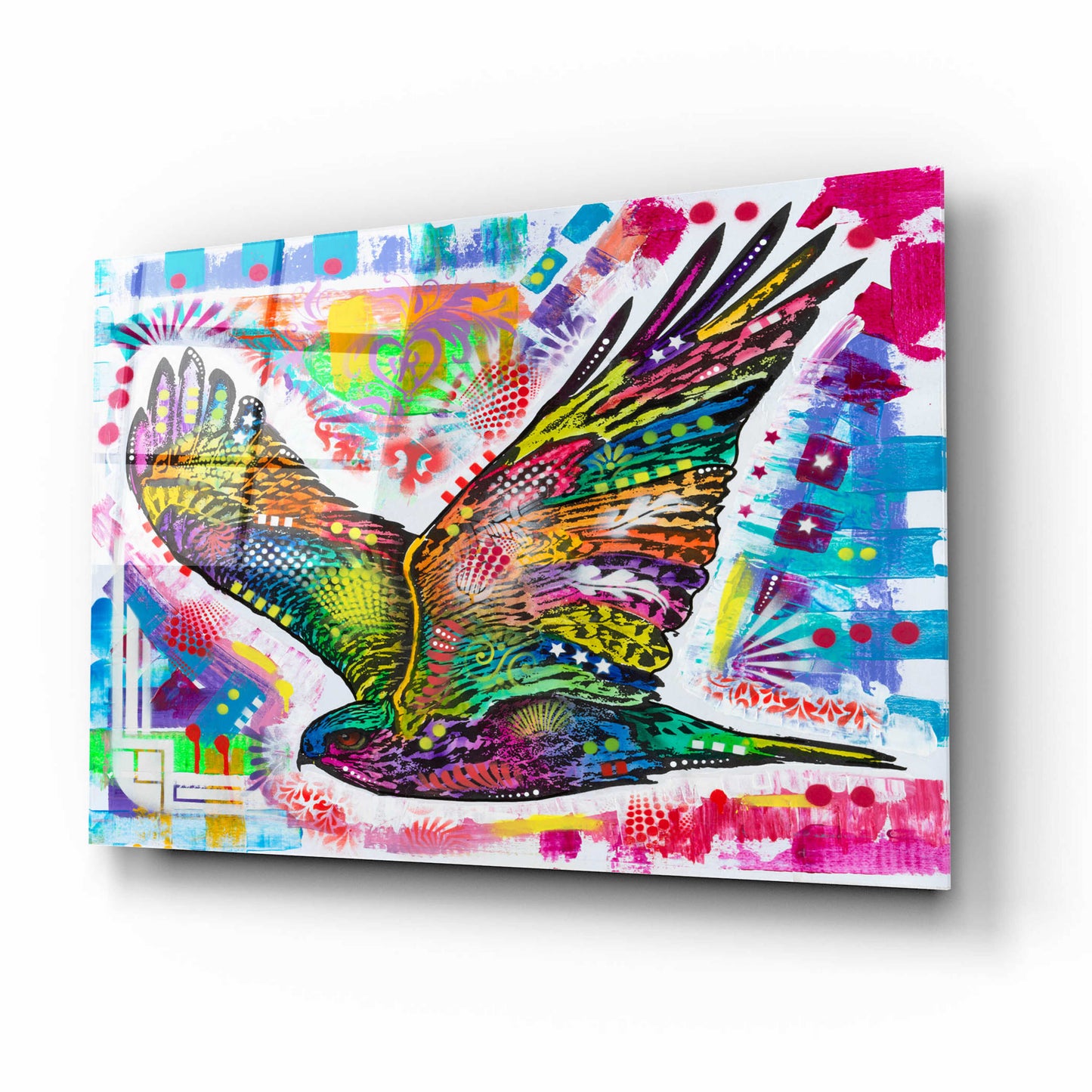 Epic Art 'Hawk' by Dean Russo, Acrylic Glass Wall Art,16x12