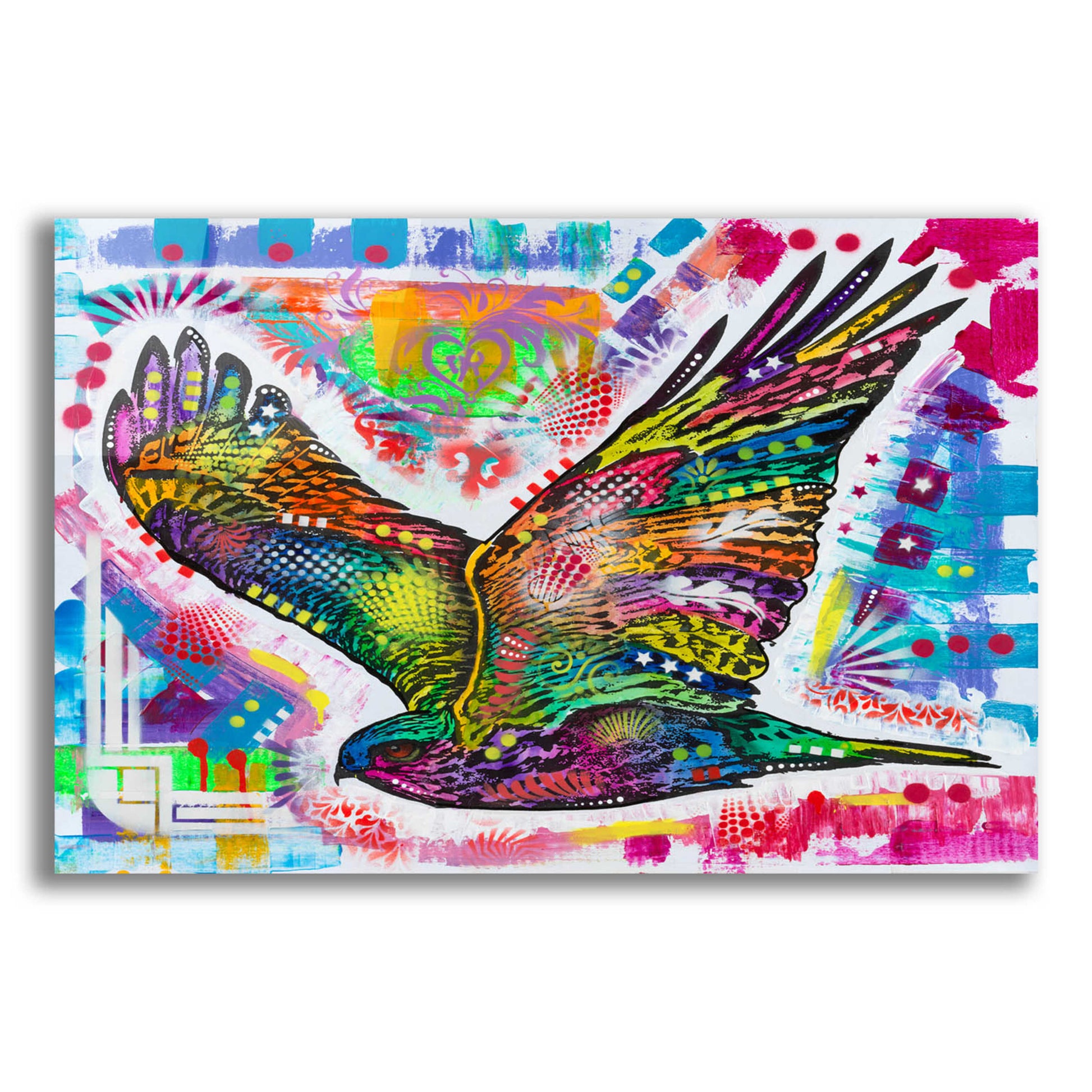 Epic Art 'Hawk' by Dean Russo, Acrylic Glass Wall Art,16x12