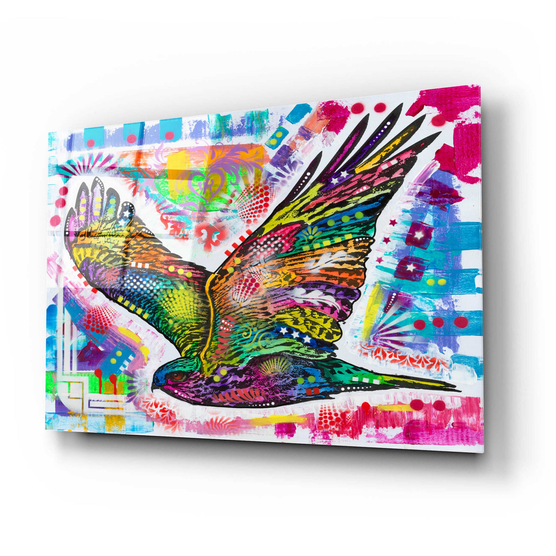 Epic Art 'Hawk' by Dean Russo, Acrylic Glass Wall Art,24x16