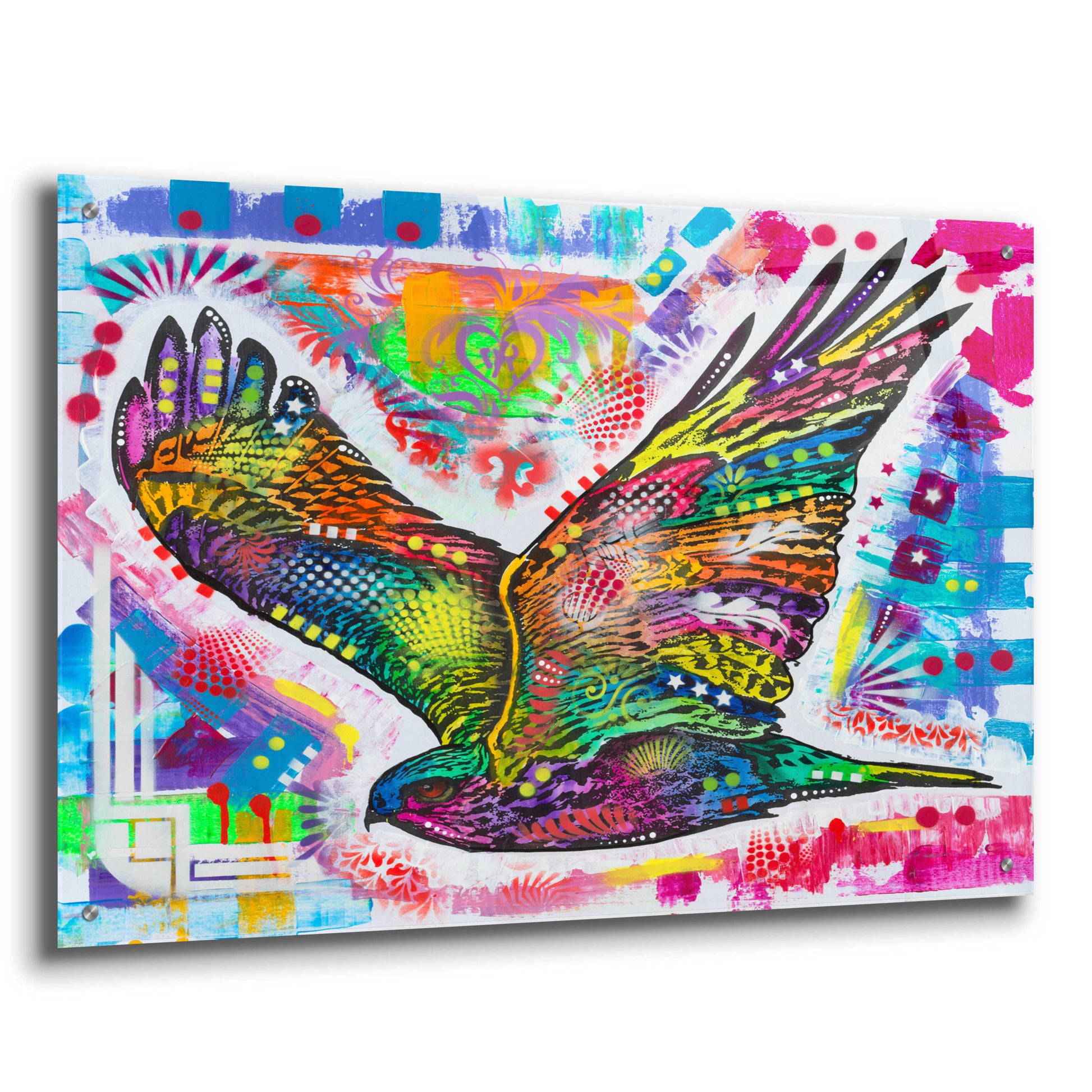 Epic Art 'Hawk' by Dean Russo, Acrylic Glass Wall Art,36x24