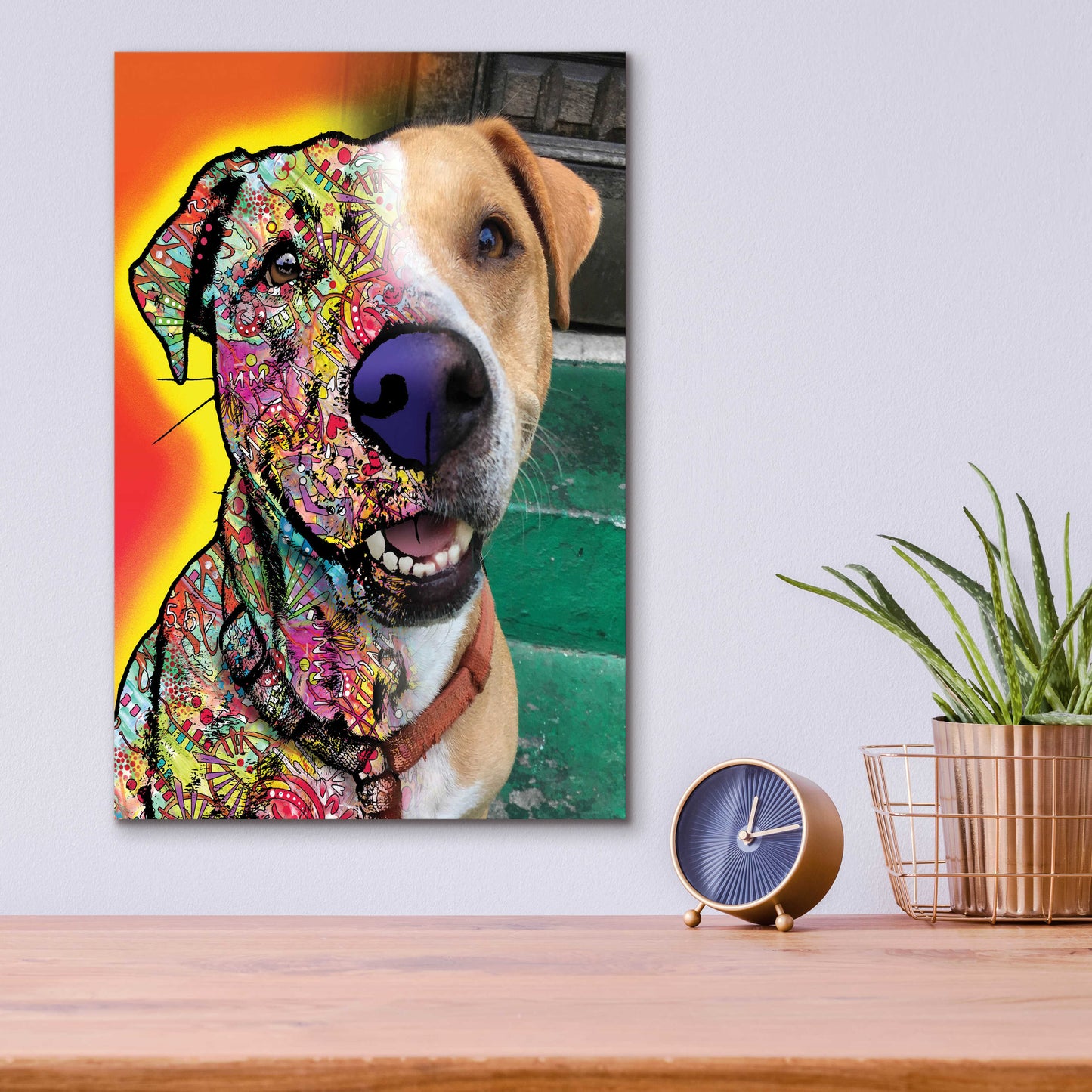 Epic Art 'Dale Seaton_Dingo' by Dean Russo, Acrylic Glass Wall Art,12x16