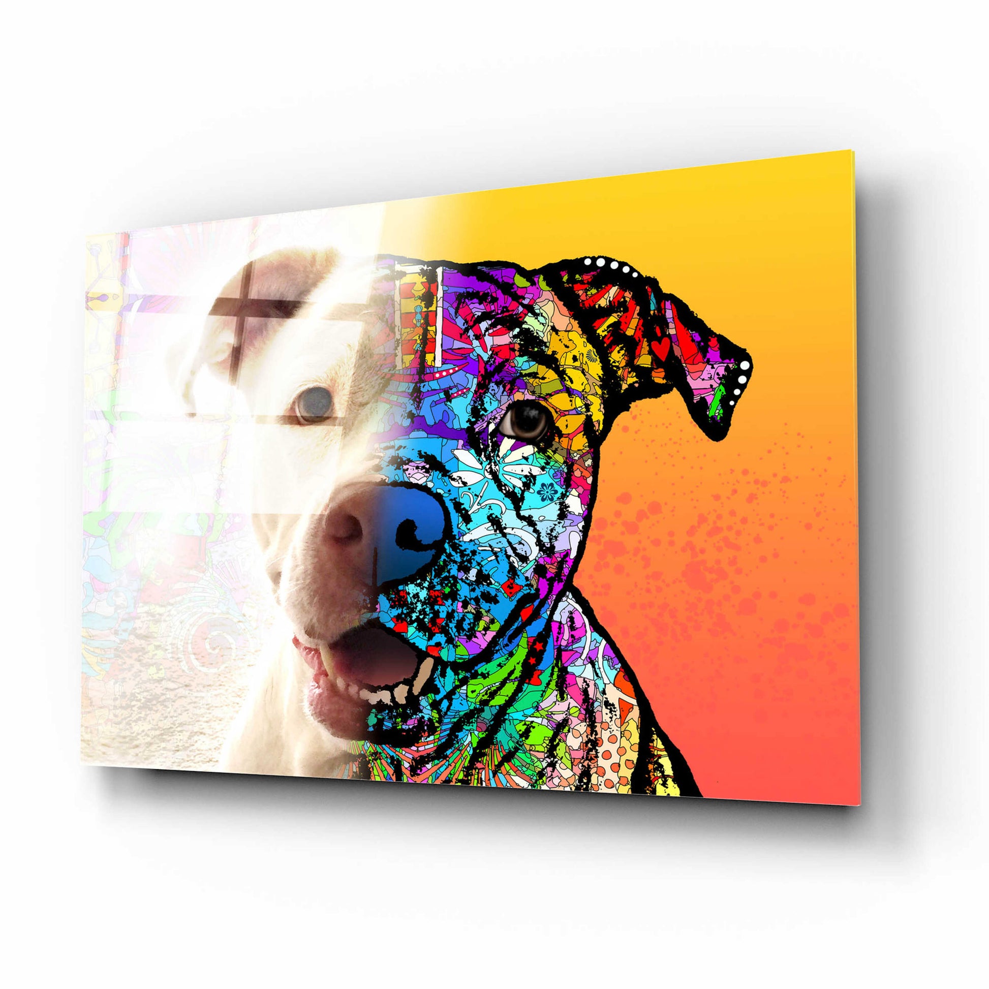 Epic Art 'Gayl_Hyde Lola' by Dean Russo, Acrylic Glass Wall Art,16x12