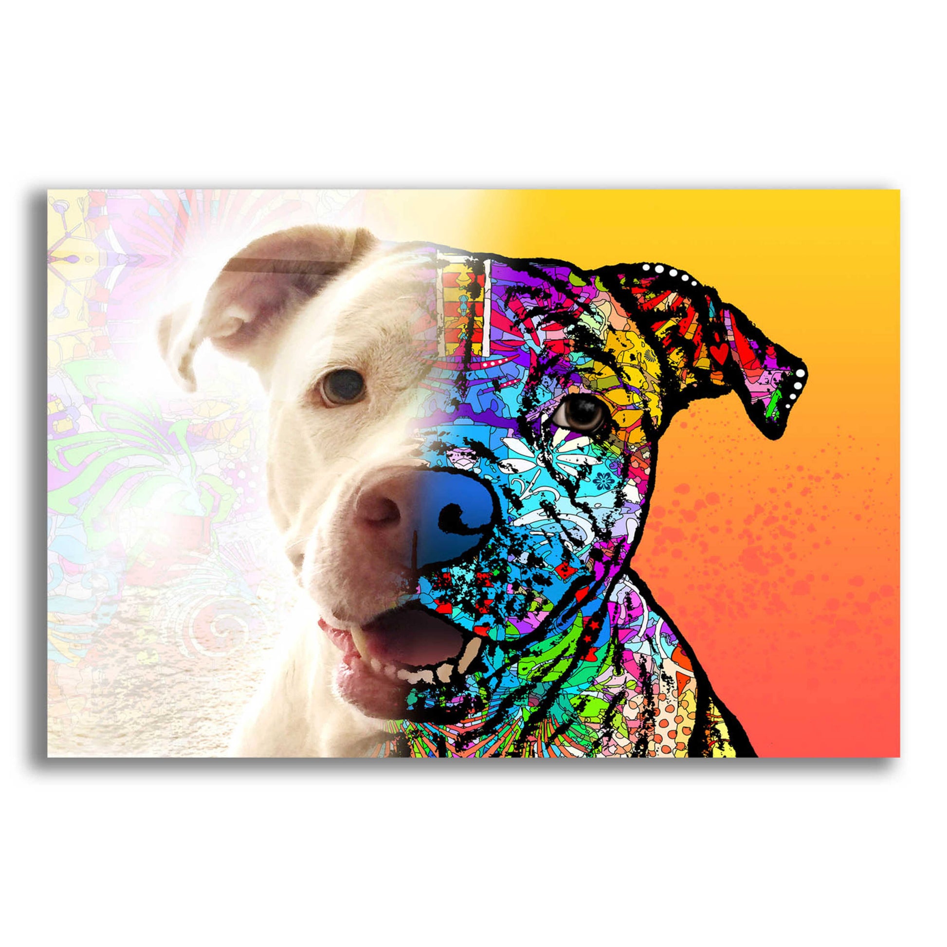 Epic Art 'Gayl_Hyde Lola' by Dean Russo, Acrylic Glass Wall Art,16x12