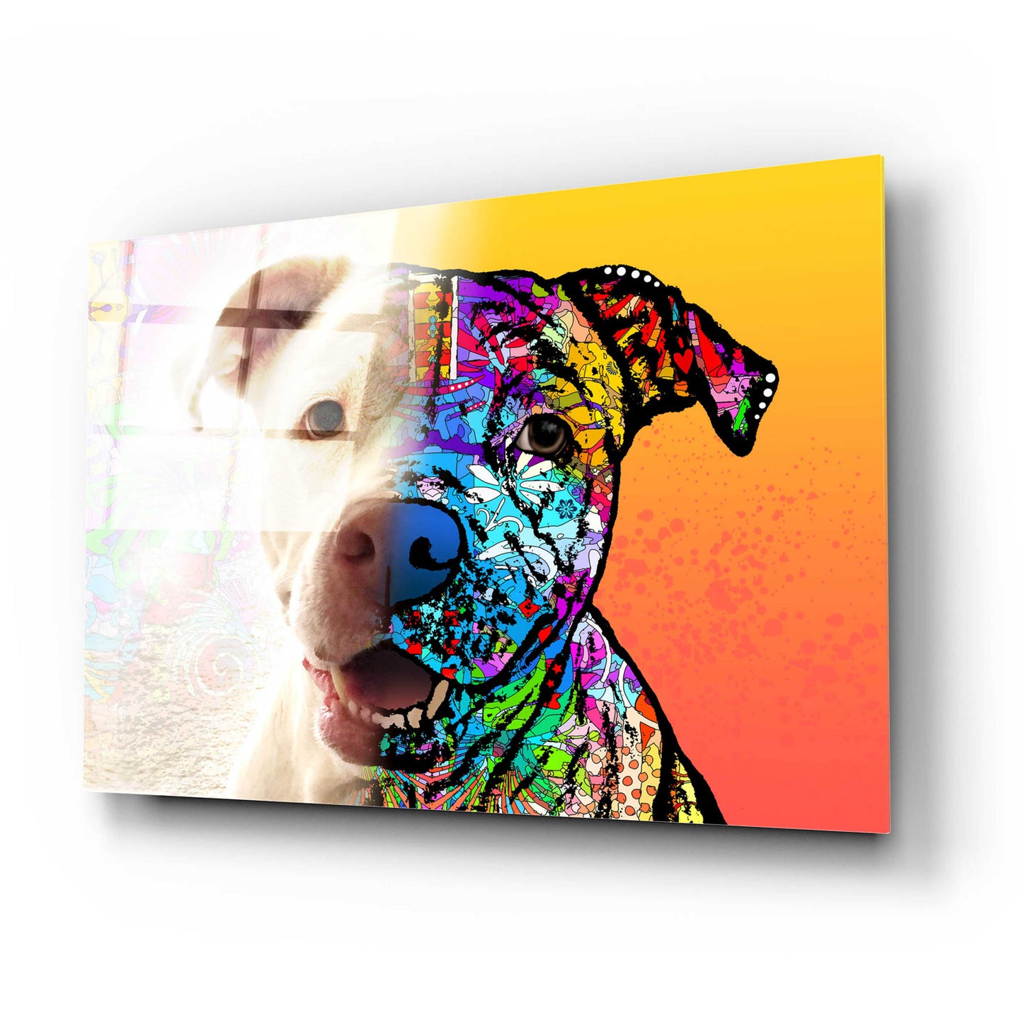 Epic Art 'Gayl_Hyde Lola' by Dean Russo, Acrylic Glass Wall Art,24x16