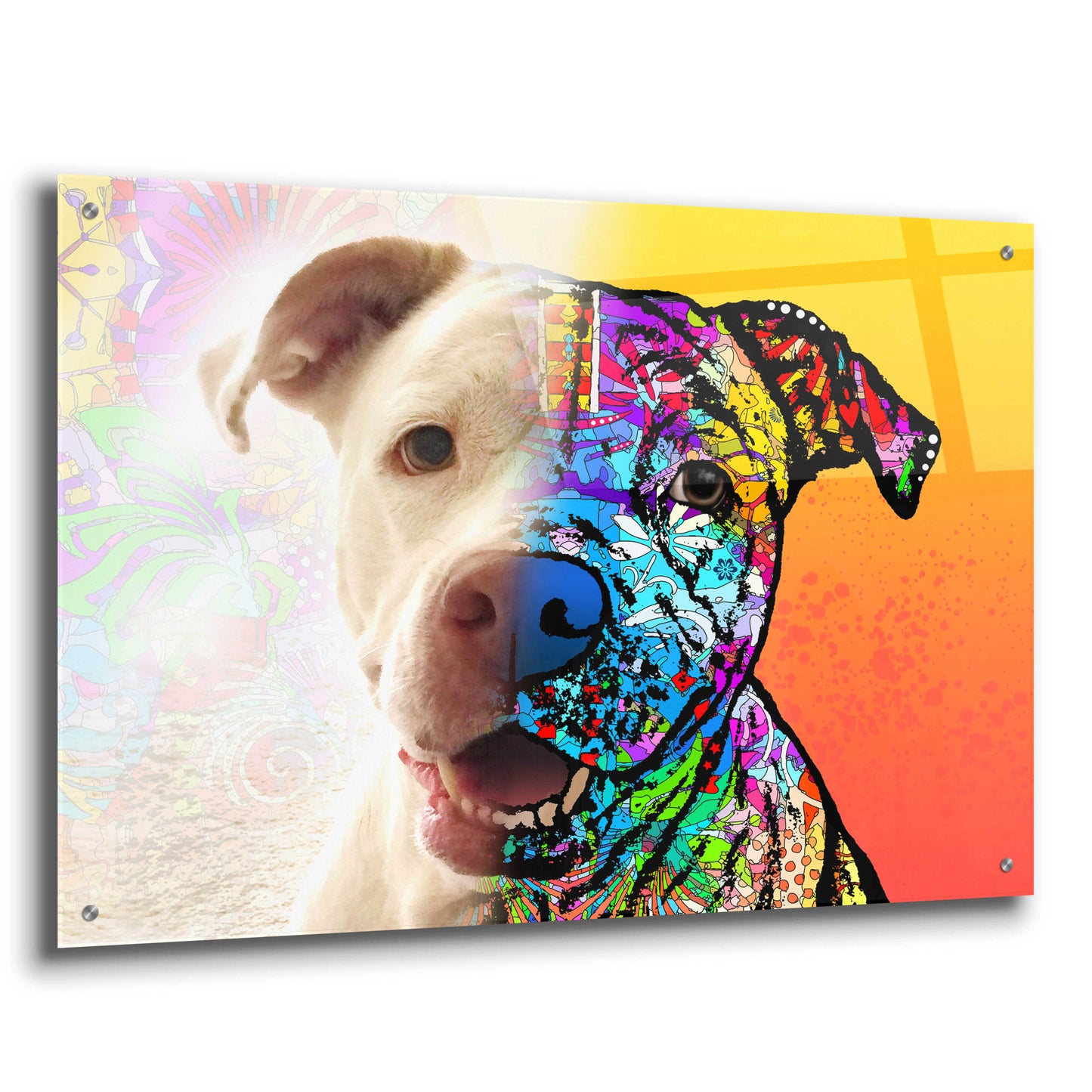 Epic Art 'Gayl_Hyde Lola' by Dean Russo, Acrylic Glass Wall Art,36x24