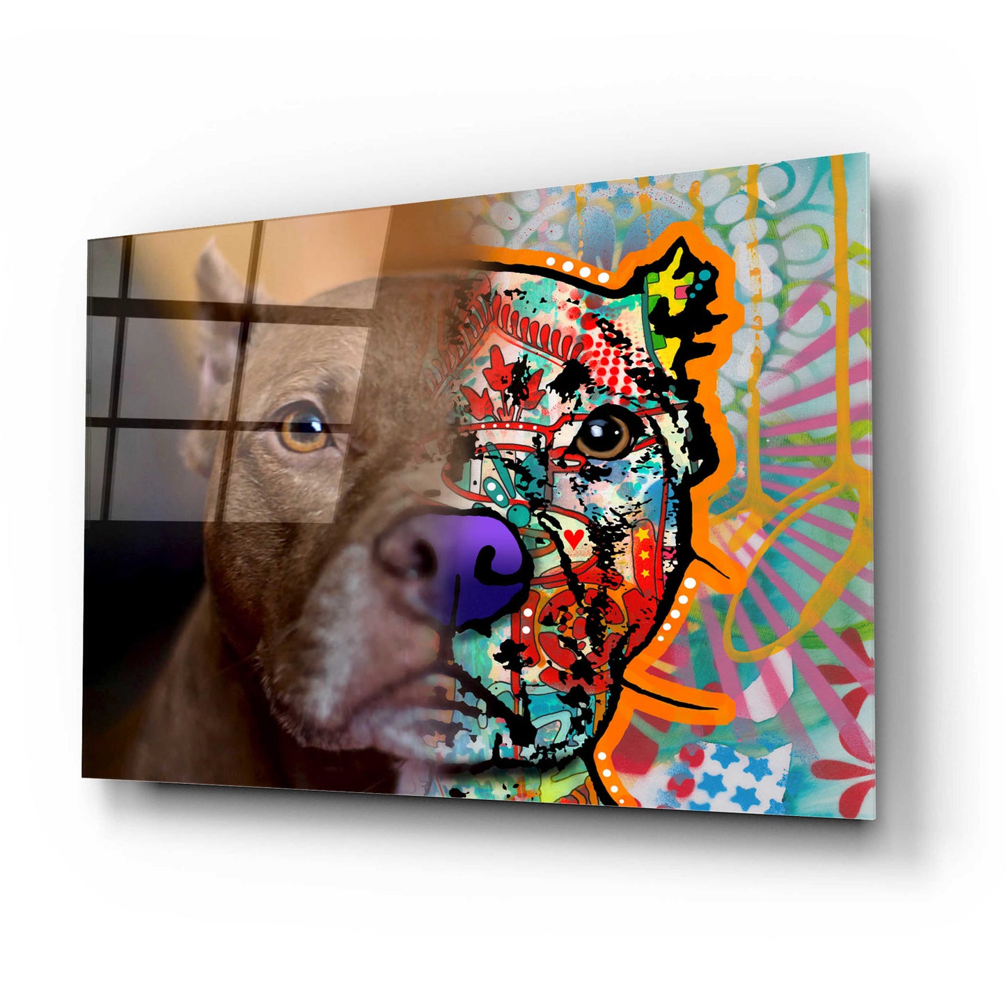 Epic Art 'Phil_Mattiello' by Dean Russo, Acrylic Glass Wall Art,24x16