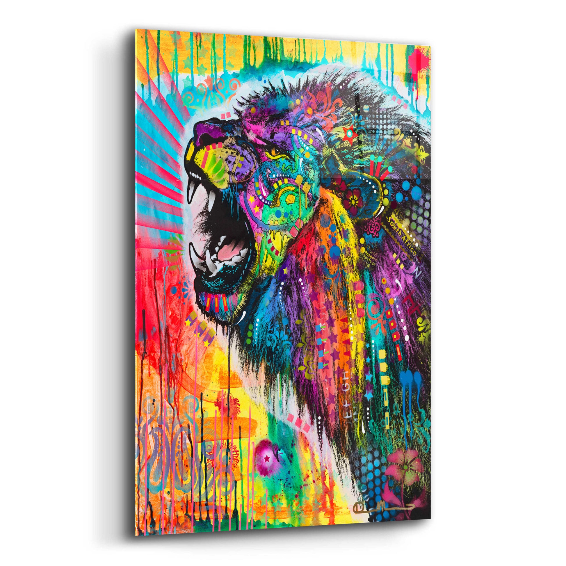 Epic Art 'South African Lion' by Dean Russo, Acrylic Glass Wall Art,12x16