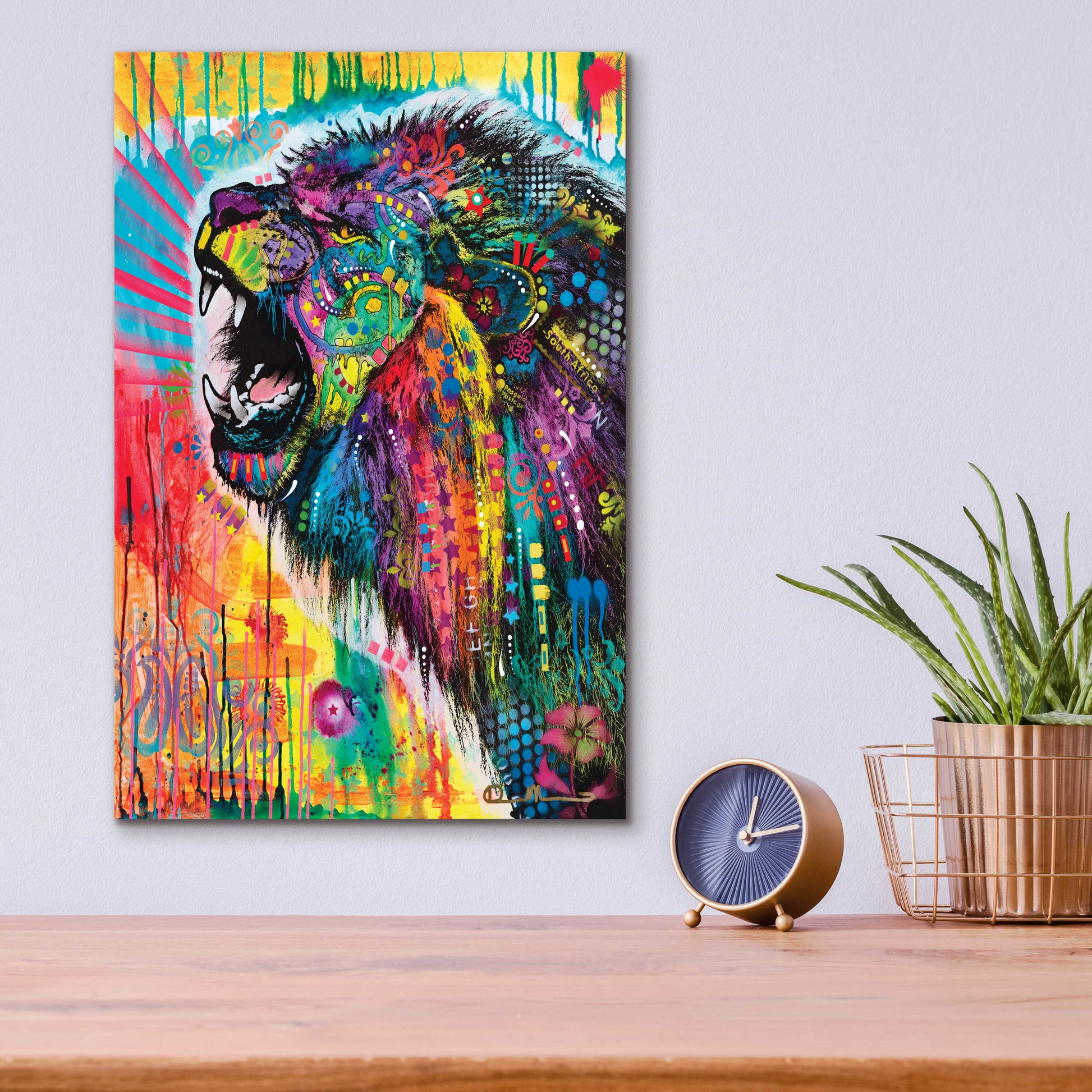 Epic Art 'South African Lion' by Dean Russo, Acrylic Glass Wall Art,12x16