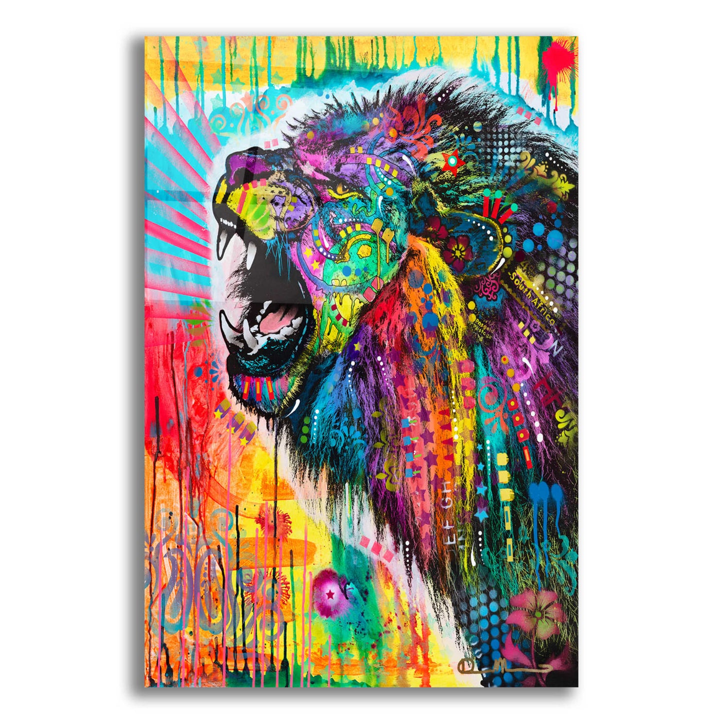 Epic Art 'South African Lion' by Dean Russo, Acrylic Glass Wall Art,12x16