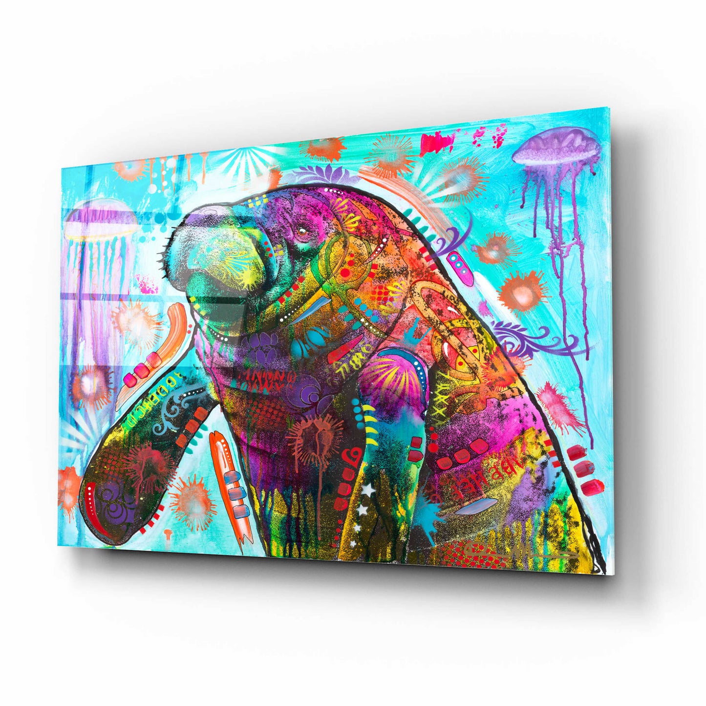 Epic Art 'Manatee' by Dean Russo, Acrylic Glass Wall Art,16x12