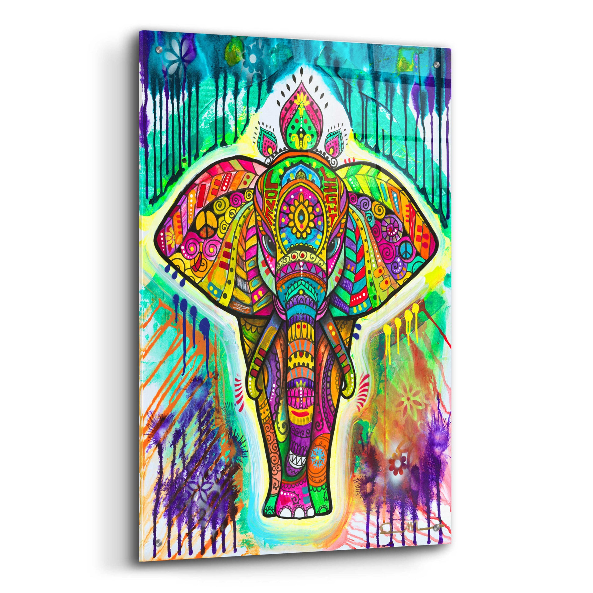 Epic Art 'Elephant 4' by Dean Russo, Acrylic Glass Wall Art,24x36