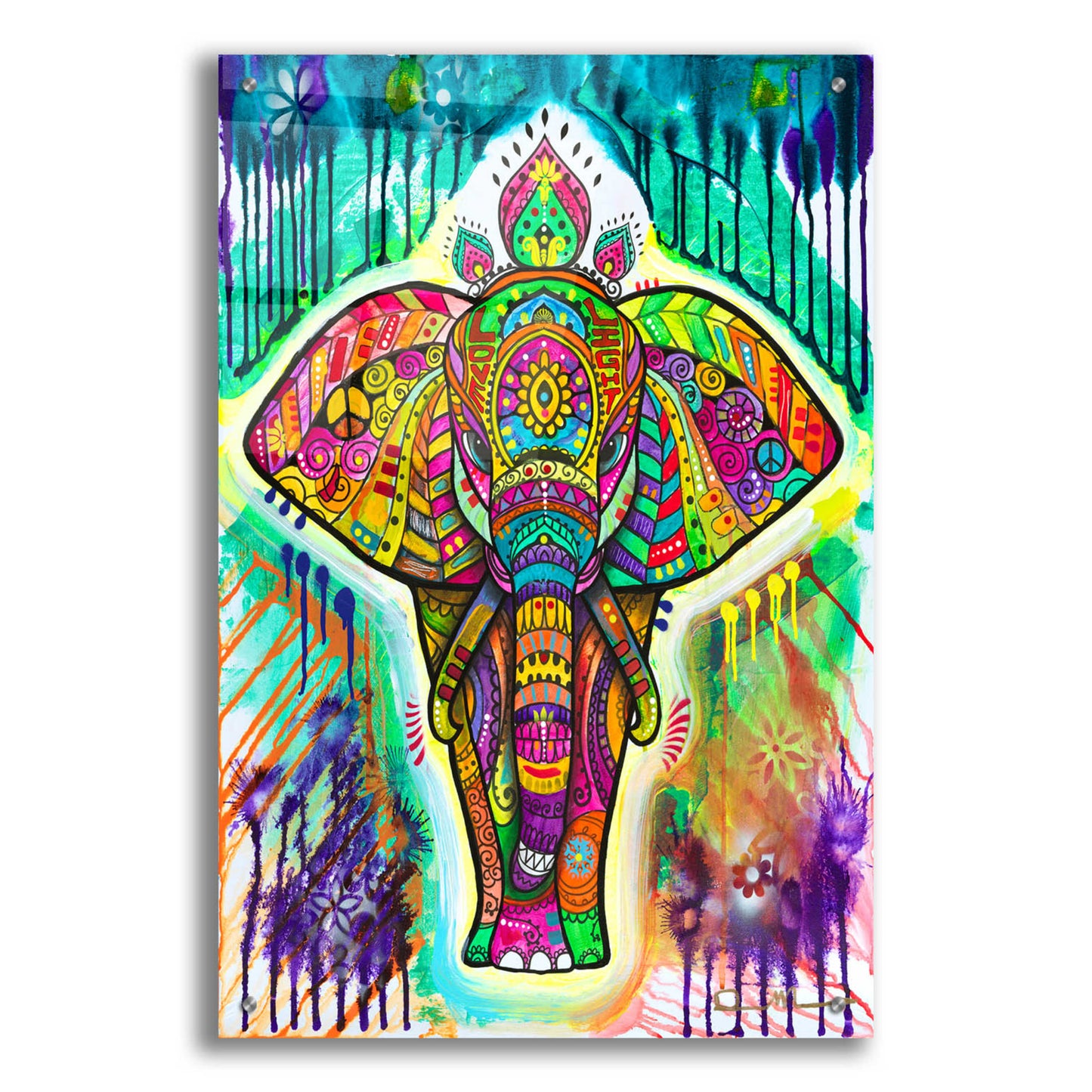 Epic Art 'Elephant 4' by Dean Russo, Acrylic Glass Wall Art,24x36