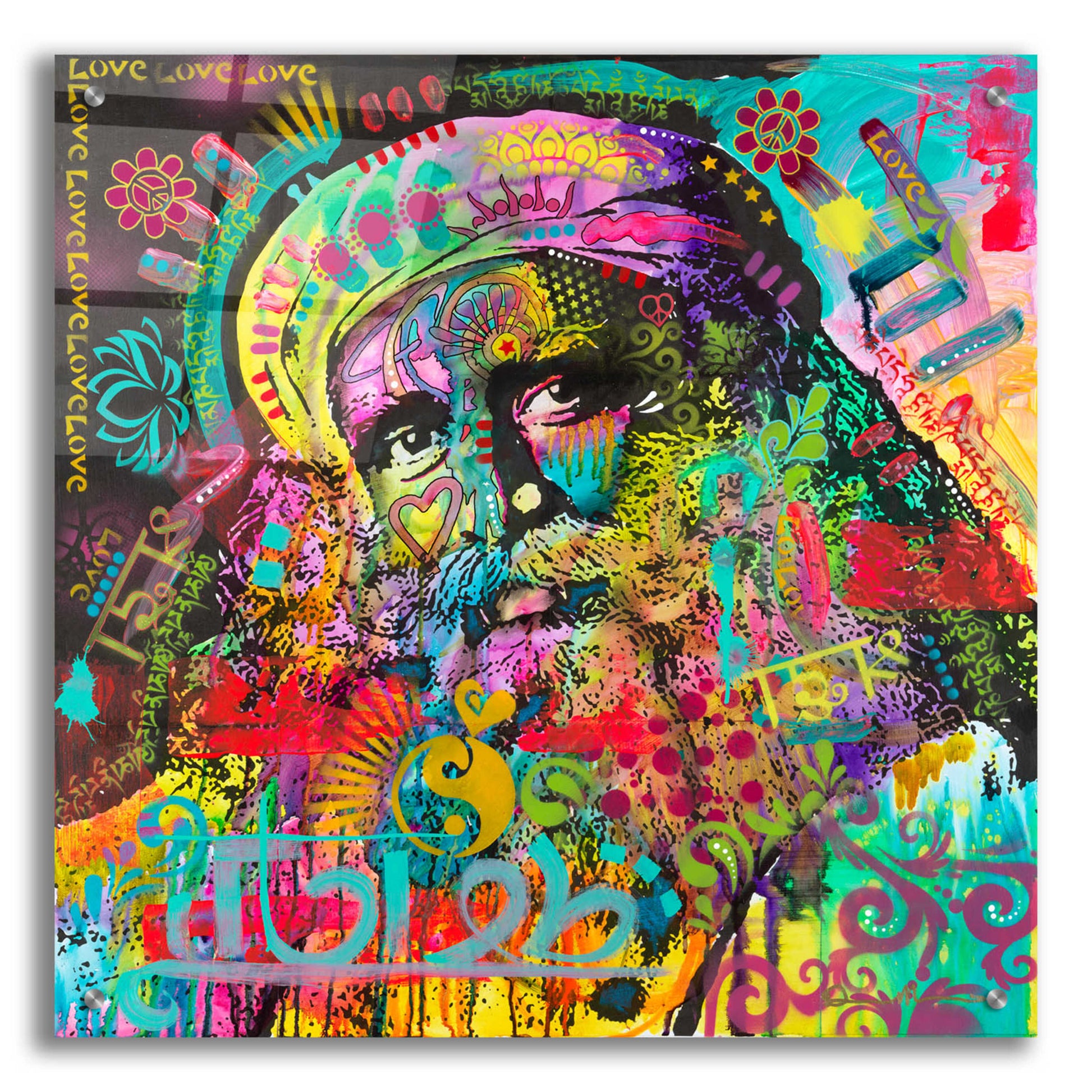 Epic Art 'Sadhguru' by Dean Russo, Acrylic Glass Wall Art,24x24