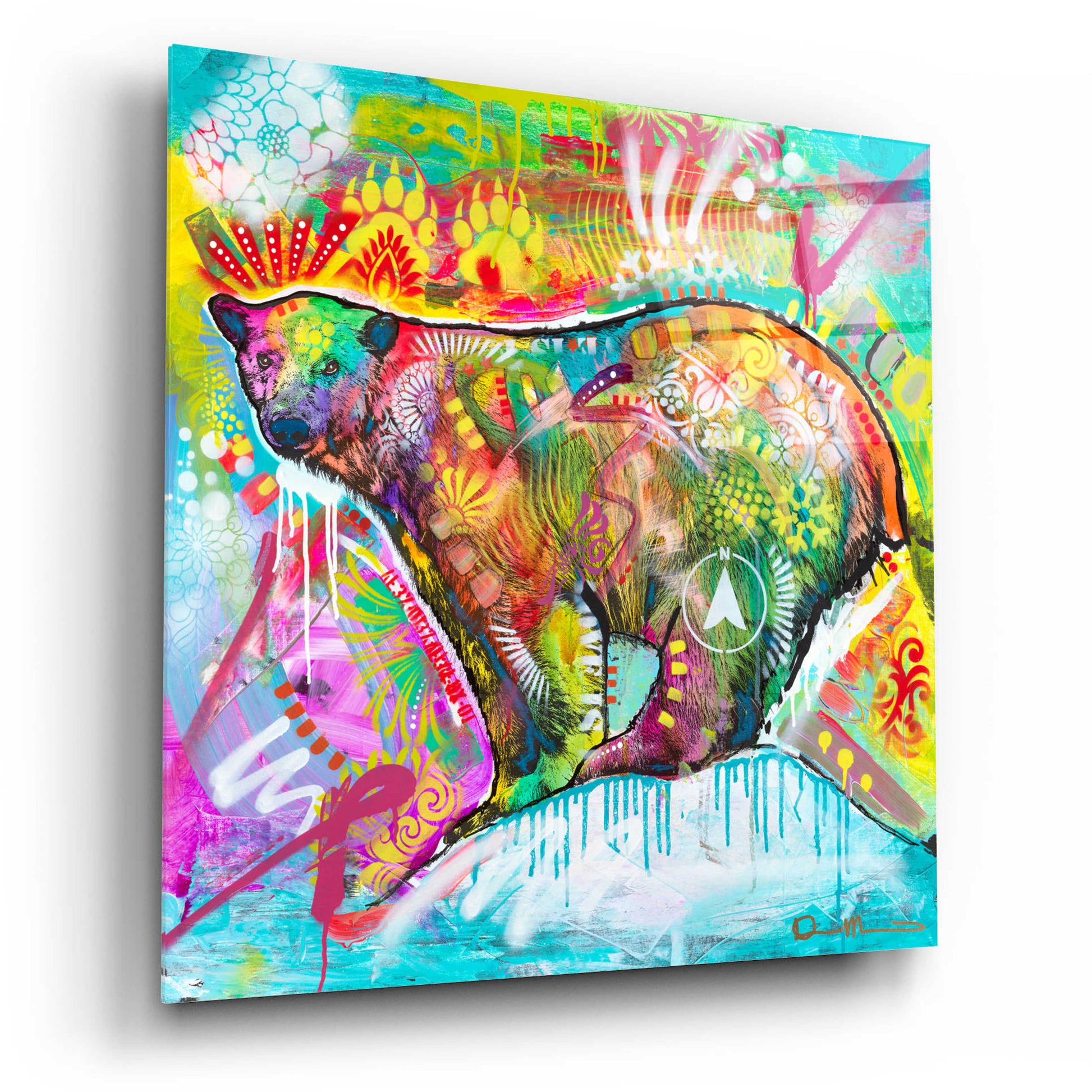 Epic Art 'Polar Bear 1' by Dean Russo, Acrylic Glass Wall Art,12x12