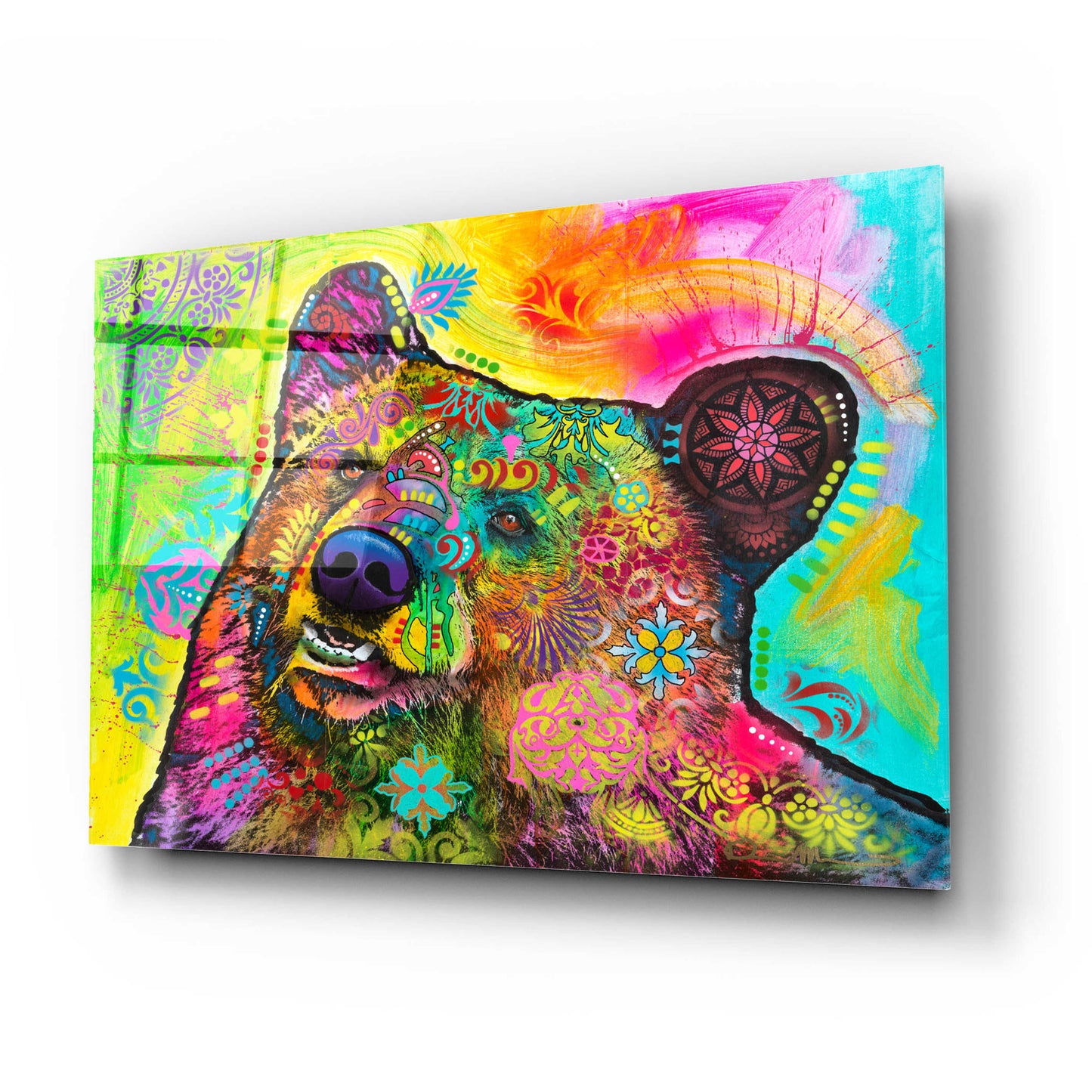 Epic Art 'Hunky Bear 1' by Dean Russo, Acrylic Glass Wall Art,24x16