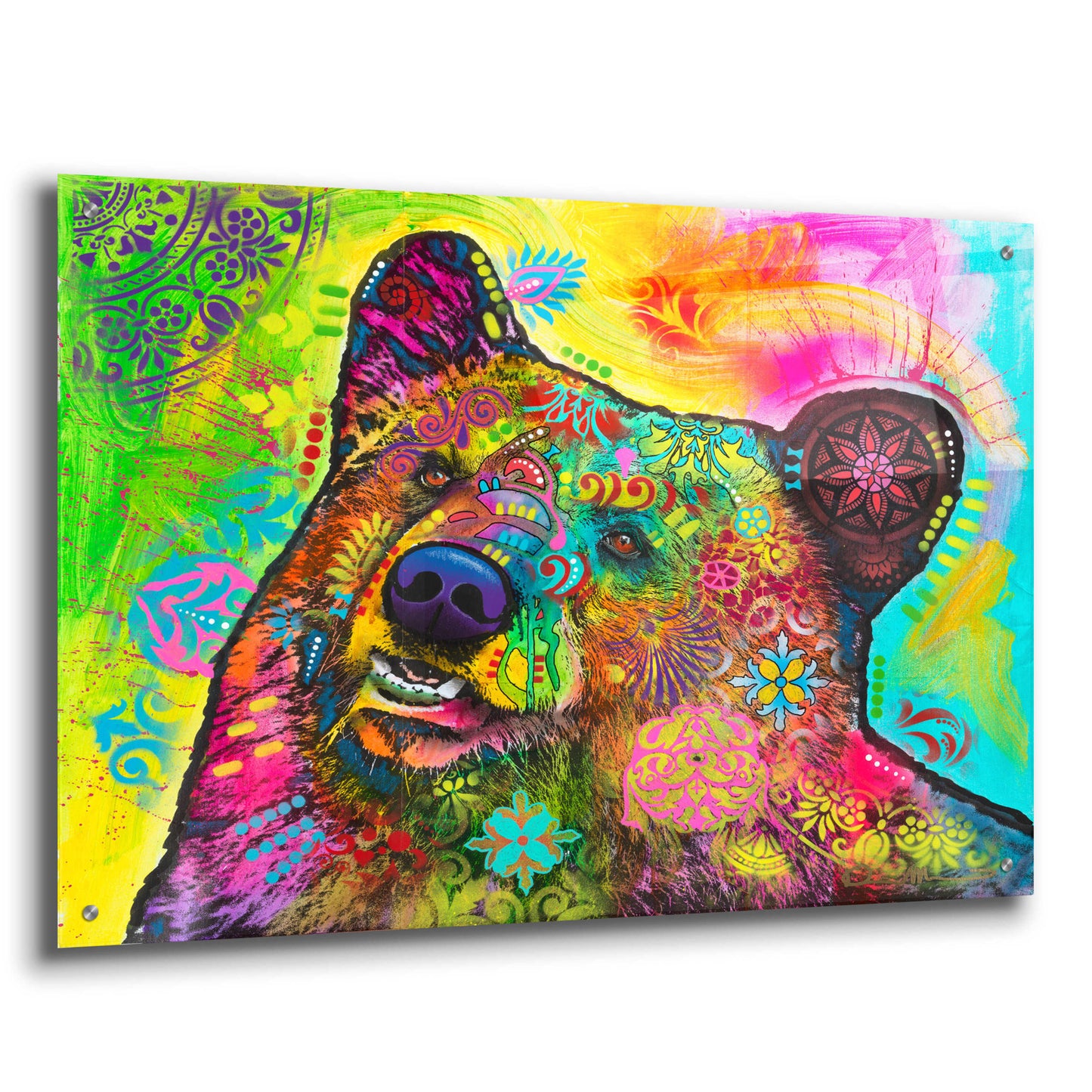 Epic Art 'Hunky Bear 1' by Dean Russo, Acrylic Glass Wall Art,36x24