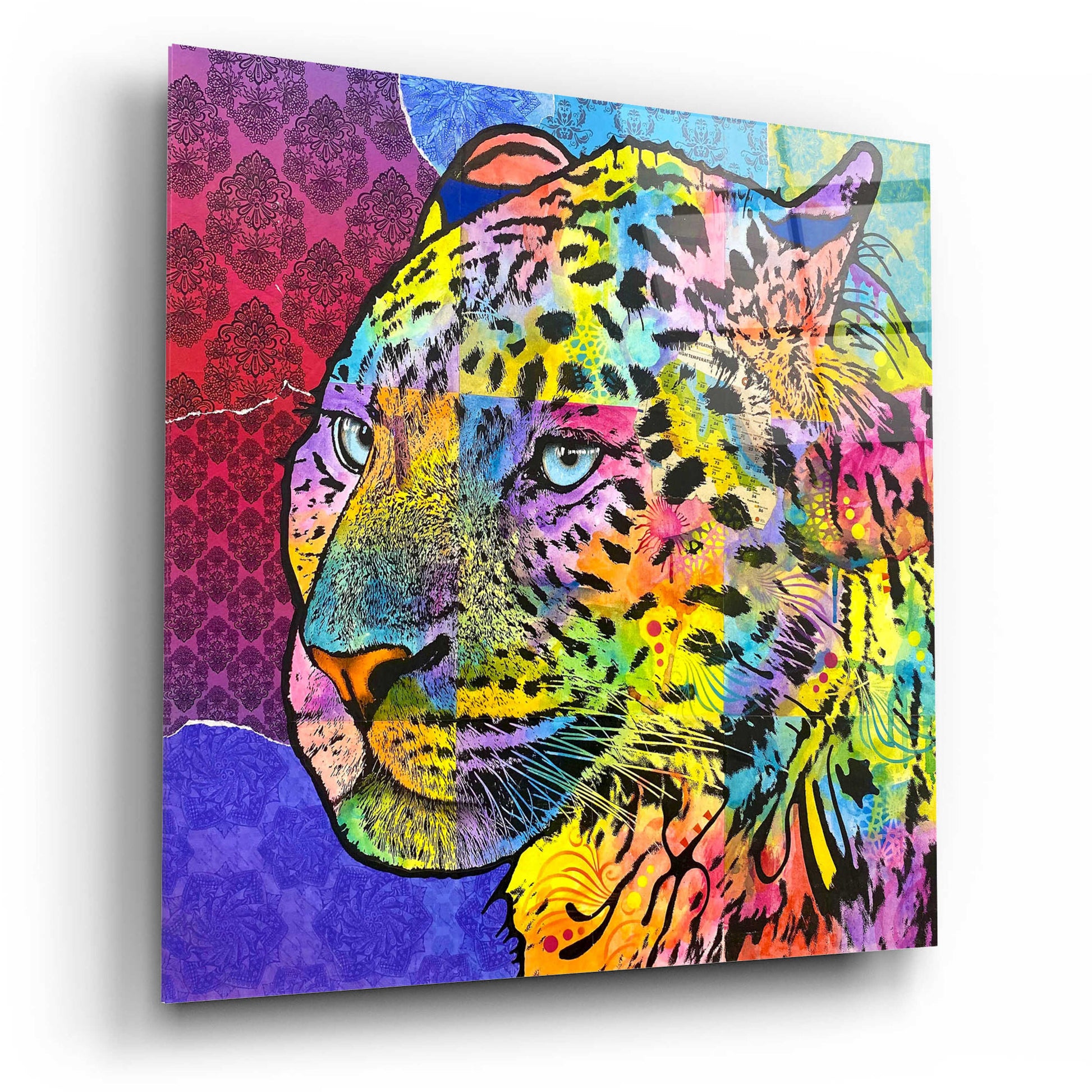 Epic Art 'Chobe' by Dean Russo, Acrylic Glass Wall Art,12x12