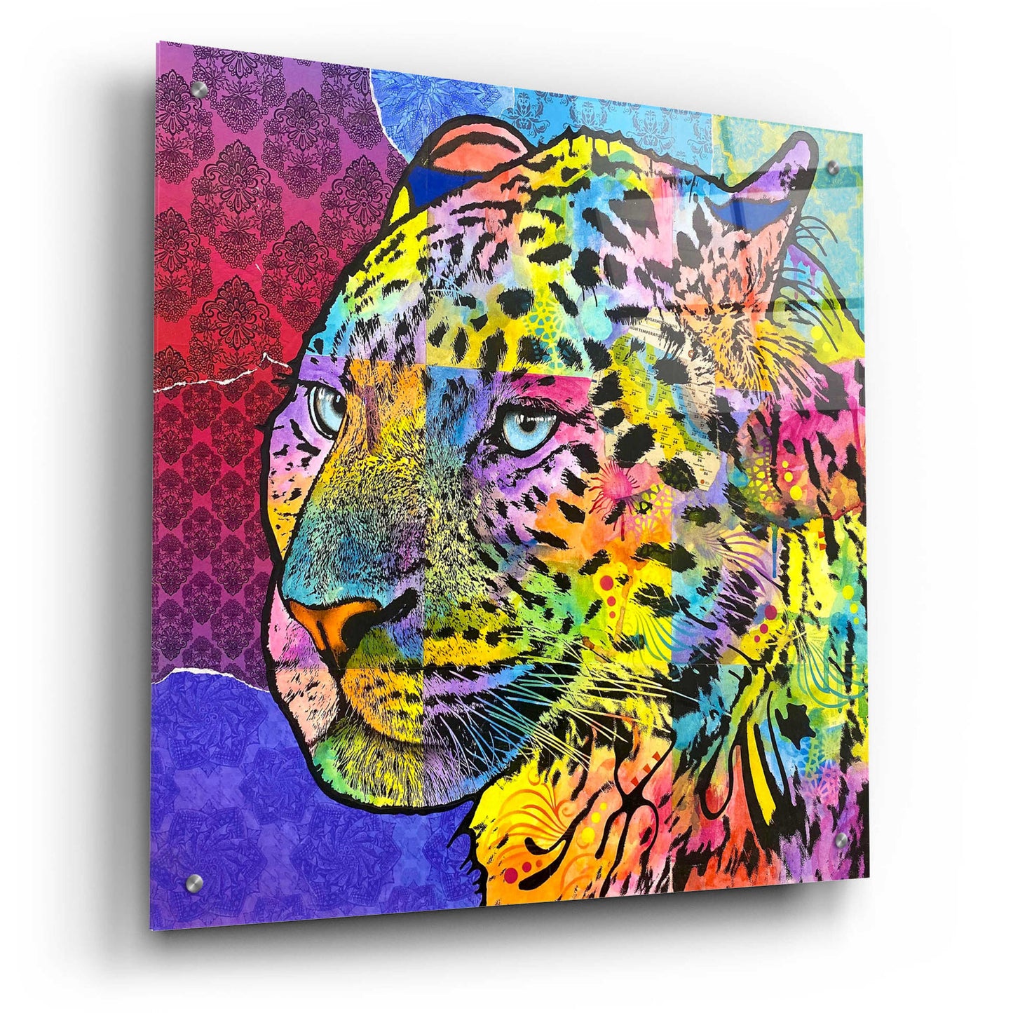 Epic Art 'Chobe' by Dean Russo, Acrylic Glass Wall Art,24x24