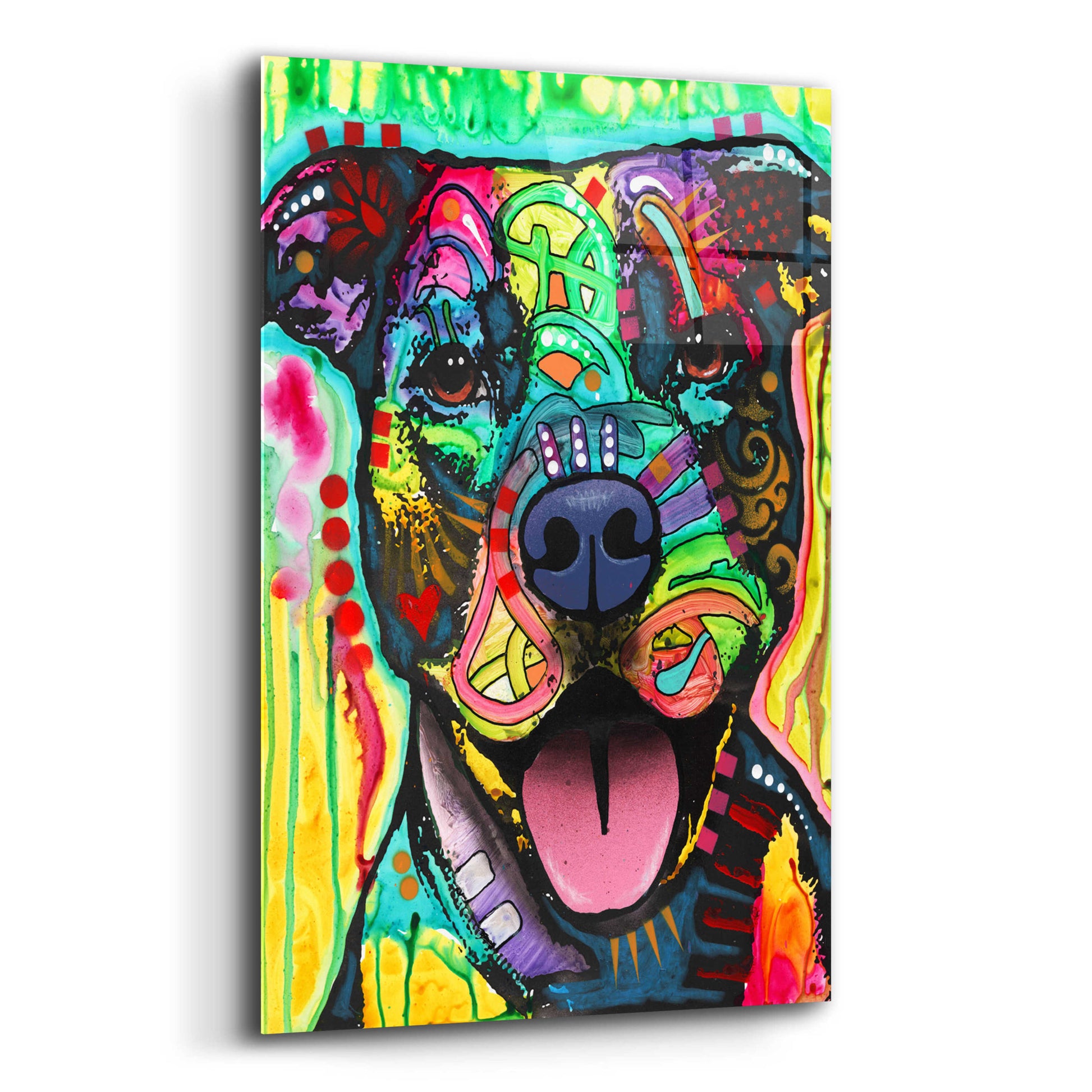 Epic Art 'Exceptional Pittie' by Dean Russo, Acrylic Glass Wall Art,12x16