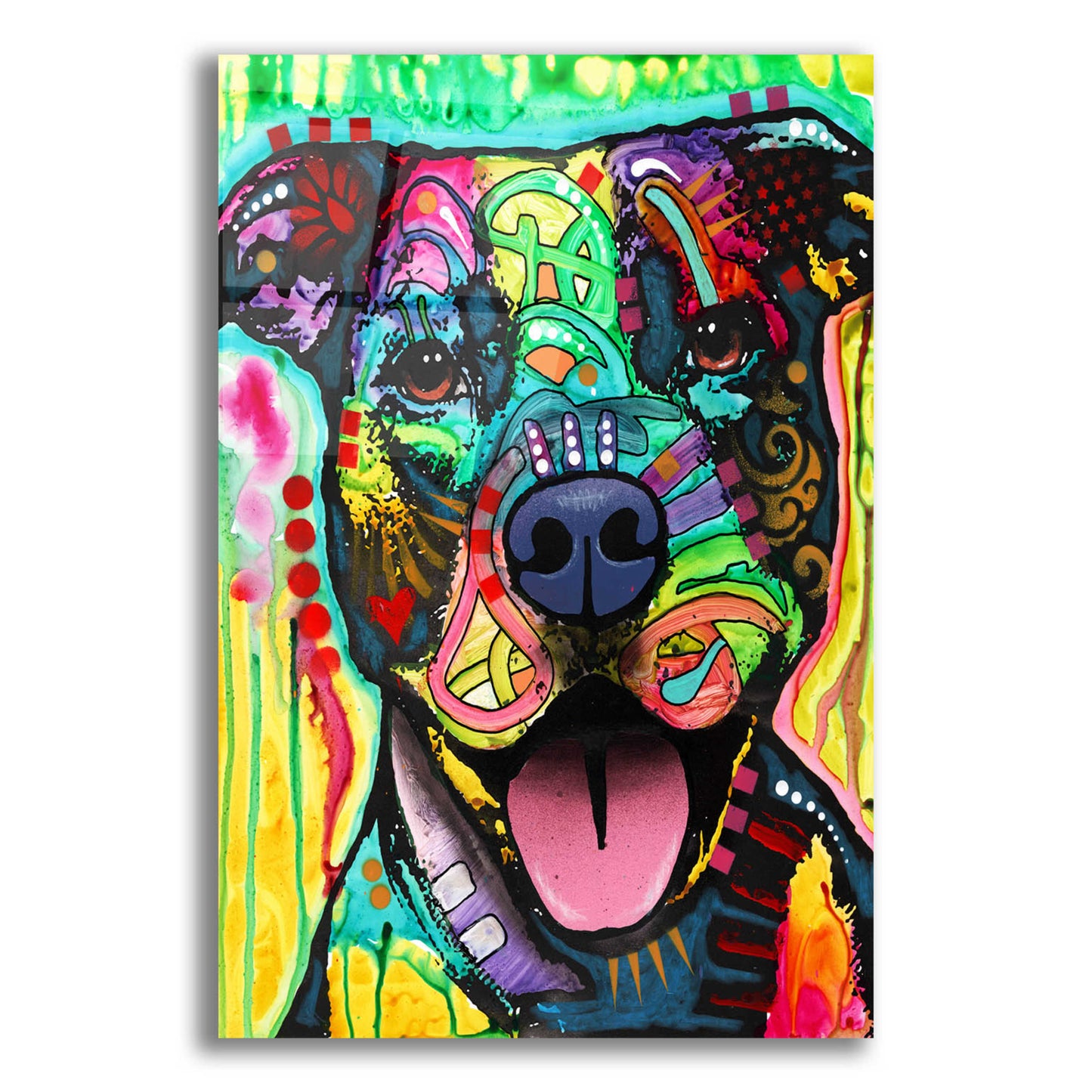 Epic Art 'Exceptional Pittie' by Dean Russo, Acrylic Glass Wall Art,12x16