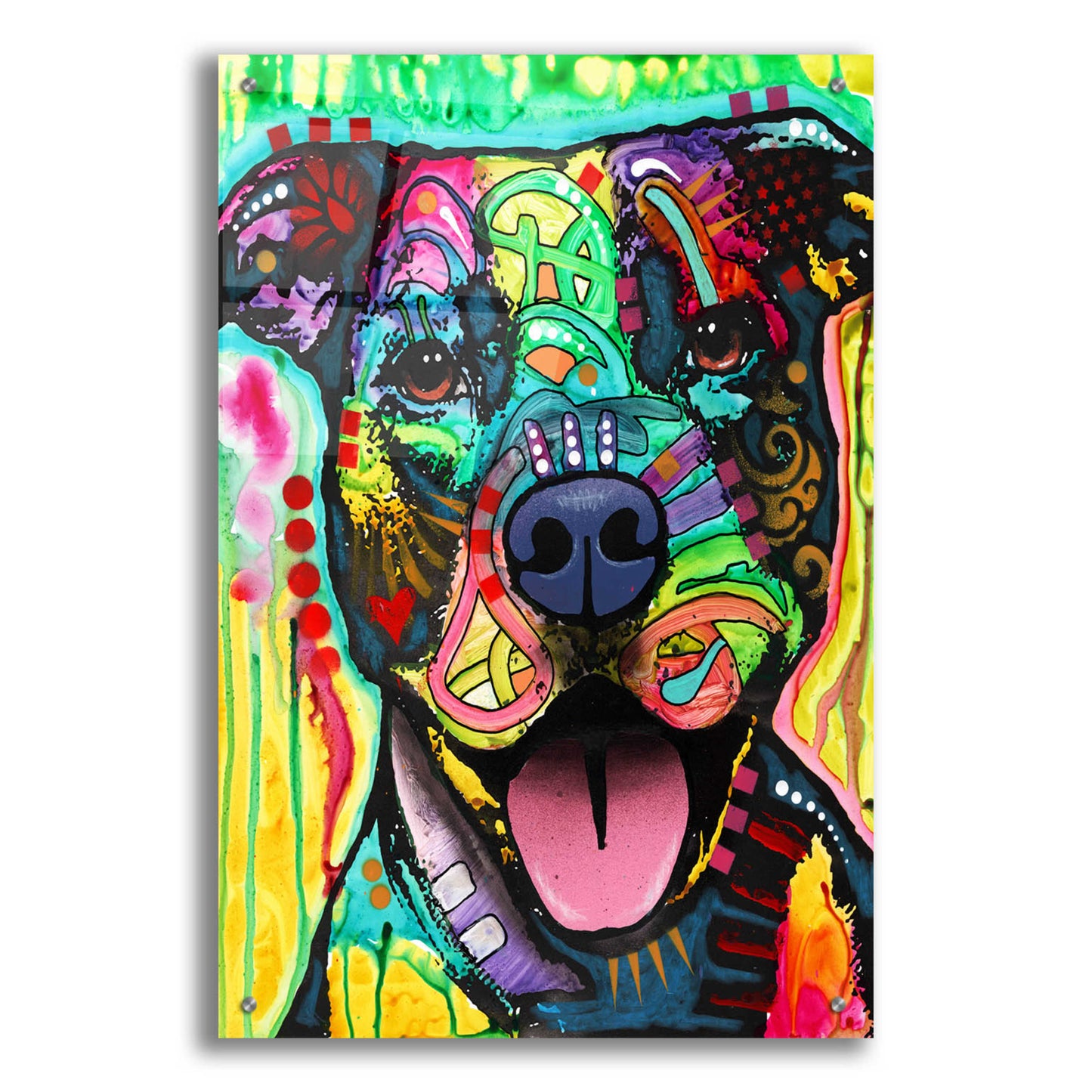 Epic Art 'Exceptional Pittie' by Dean Russo, Acrylic Glass Wall Art,24x36