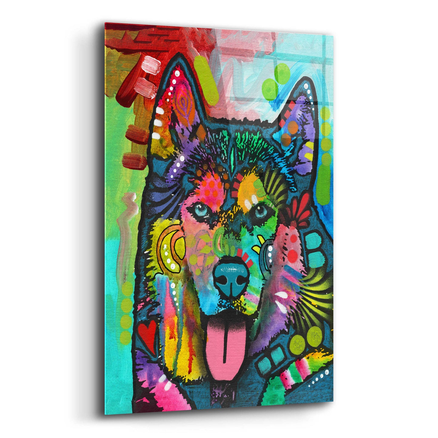 Epic Art 'Husky' by Dean Russo, Acrylic Glass Wall Art,12x16