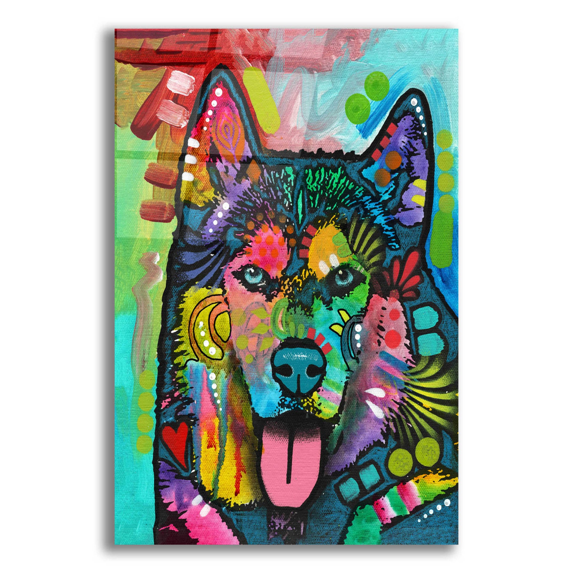 Epic Art 'Husky' by Dean Russo, Acrylic Glass Wall Art,12x16