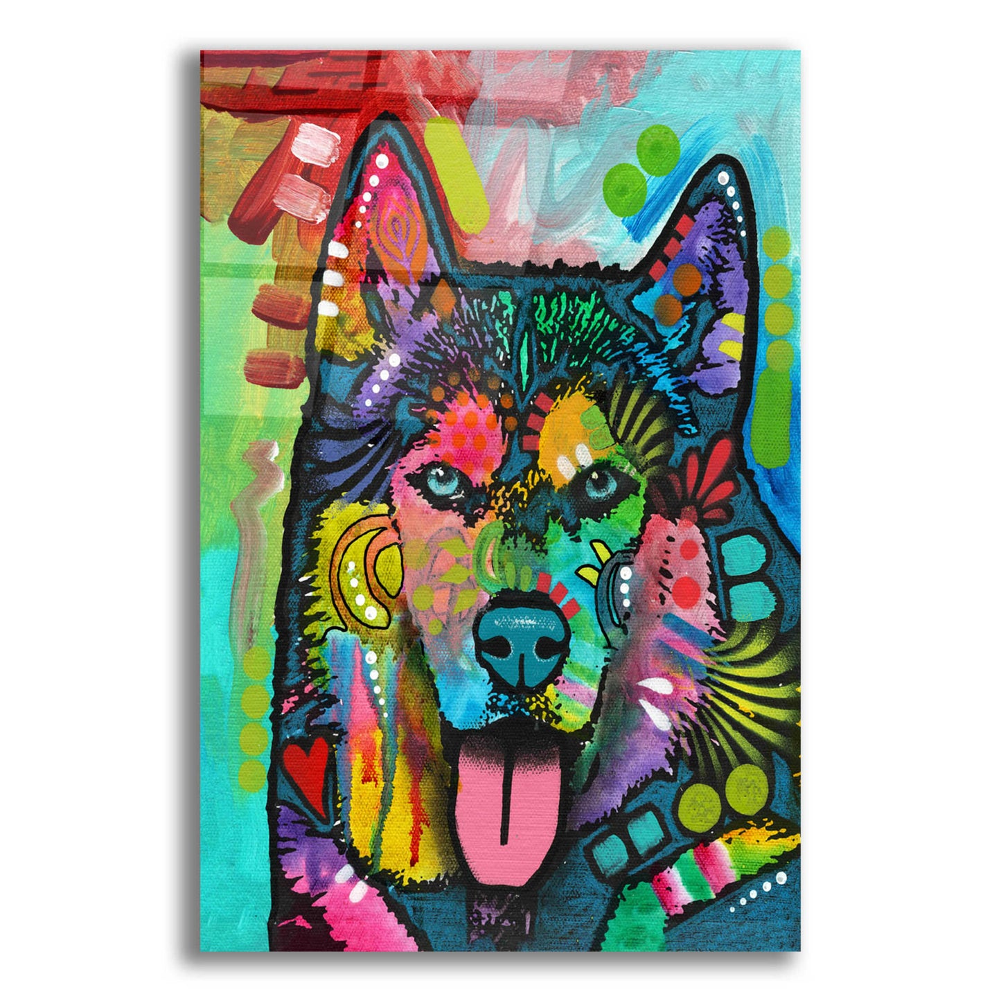 Epic Art 'Husky' by Dean Russo, Acrylic Glass Wall Art,16x24