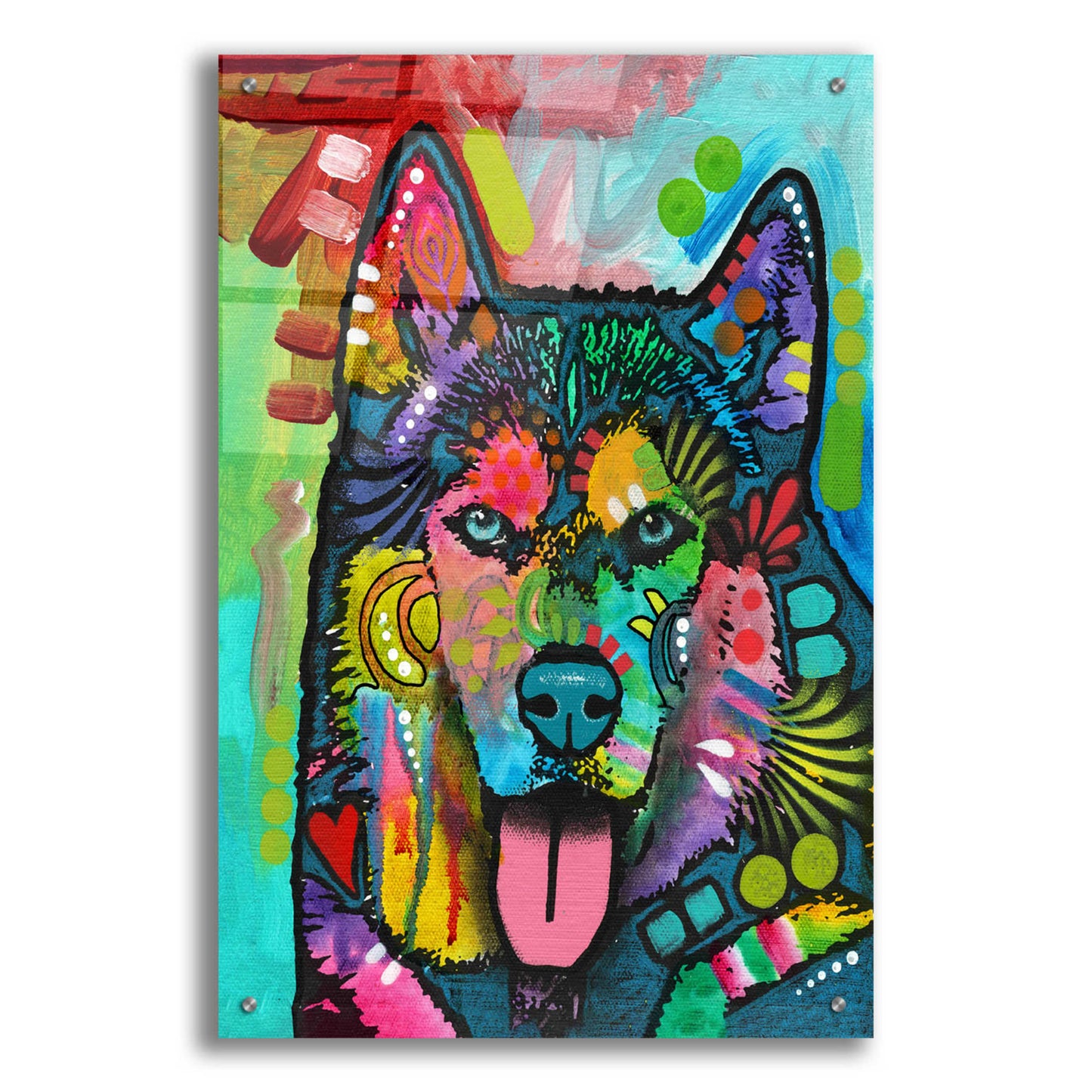 Epic Art 'Husky' by Dean Russo, Acrylic Glass Wall Art,24x36