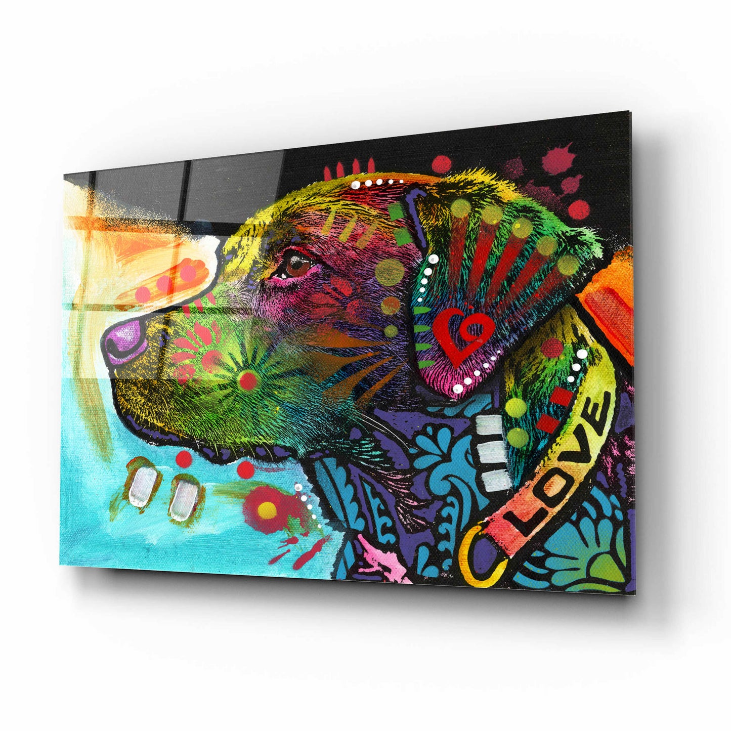 Epic Art 'Labrador (Love Collection)' by Dean Russo, Acrylic Glass Wall Art,16x12