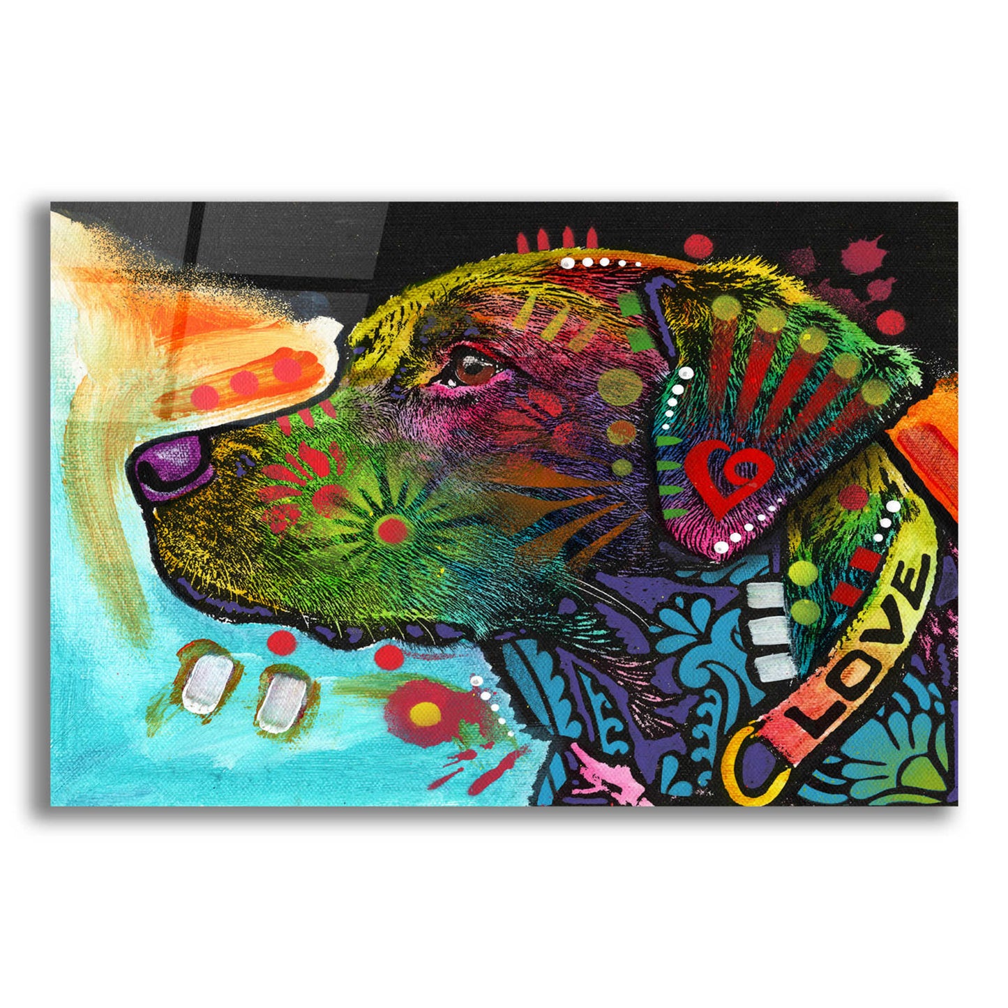 Epic Art 'Labrador (Love Collection)' by Dean Russo, Acrylic Glass Wall Art,16x12