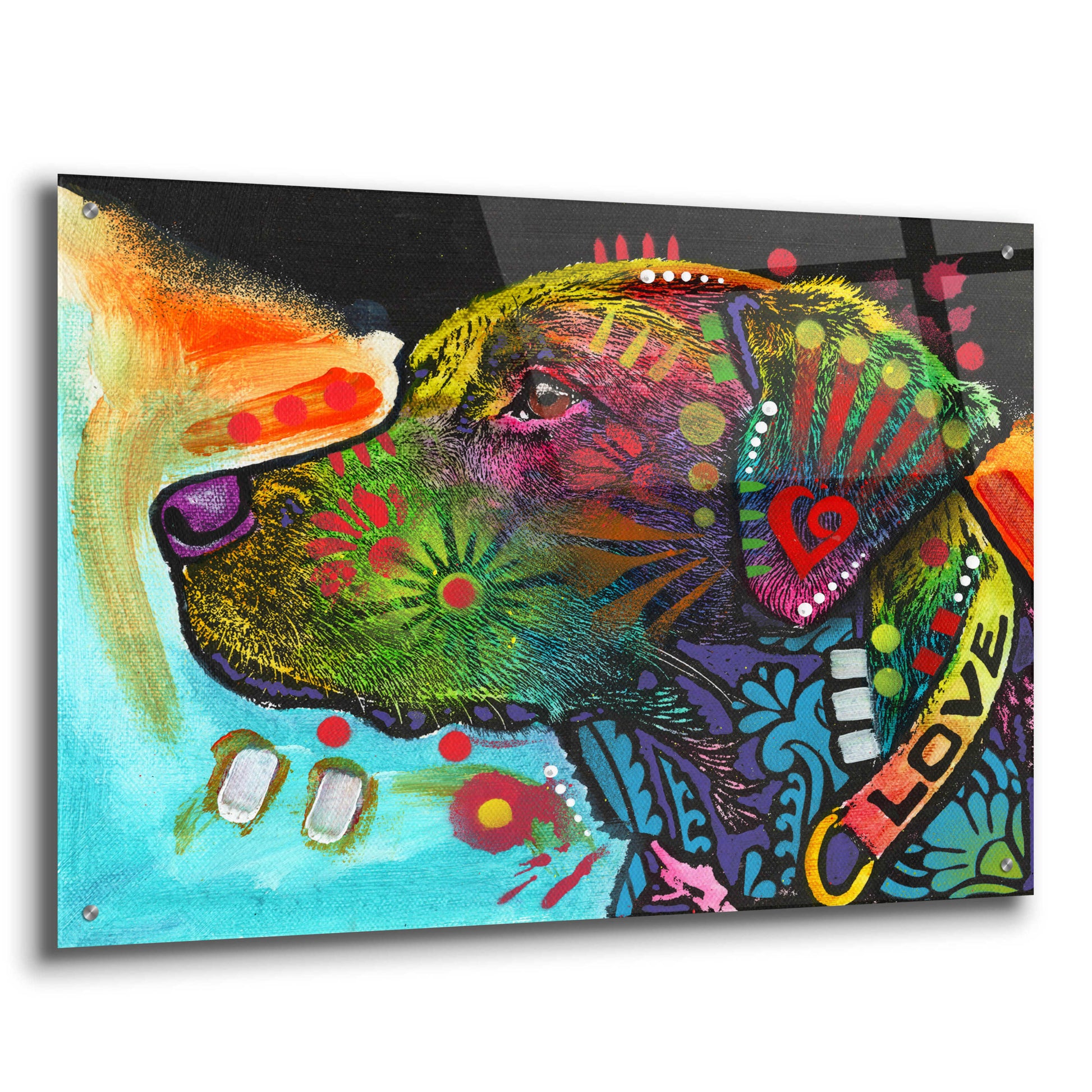 Epic Art 'Labrador (Love Collection)' by Dean Russo, Acrylic Glass Wall Art,36x24