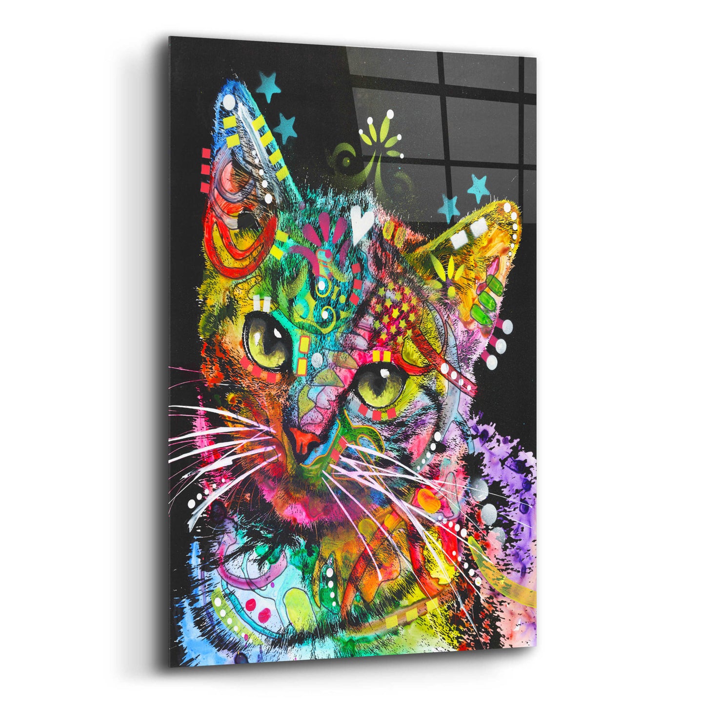 Epic Art 'Star Kitten' by Dean Russo, Acrylic Glass Wall Art,12x16