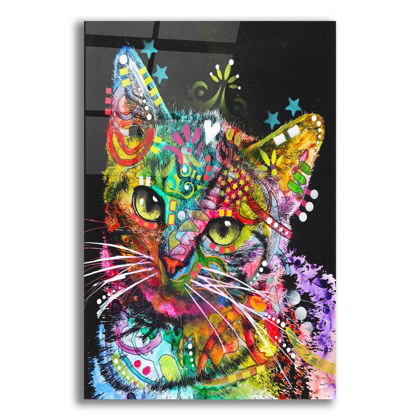 Epic Art 'Star Kitten' by Dean Russo, Acrylic Glass Wall Art,12x16