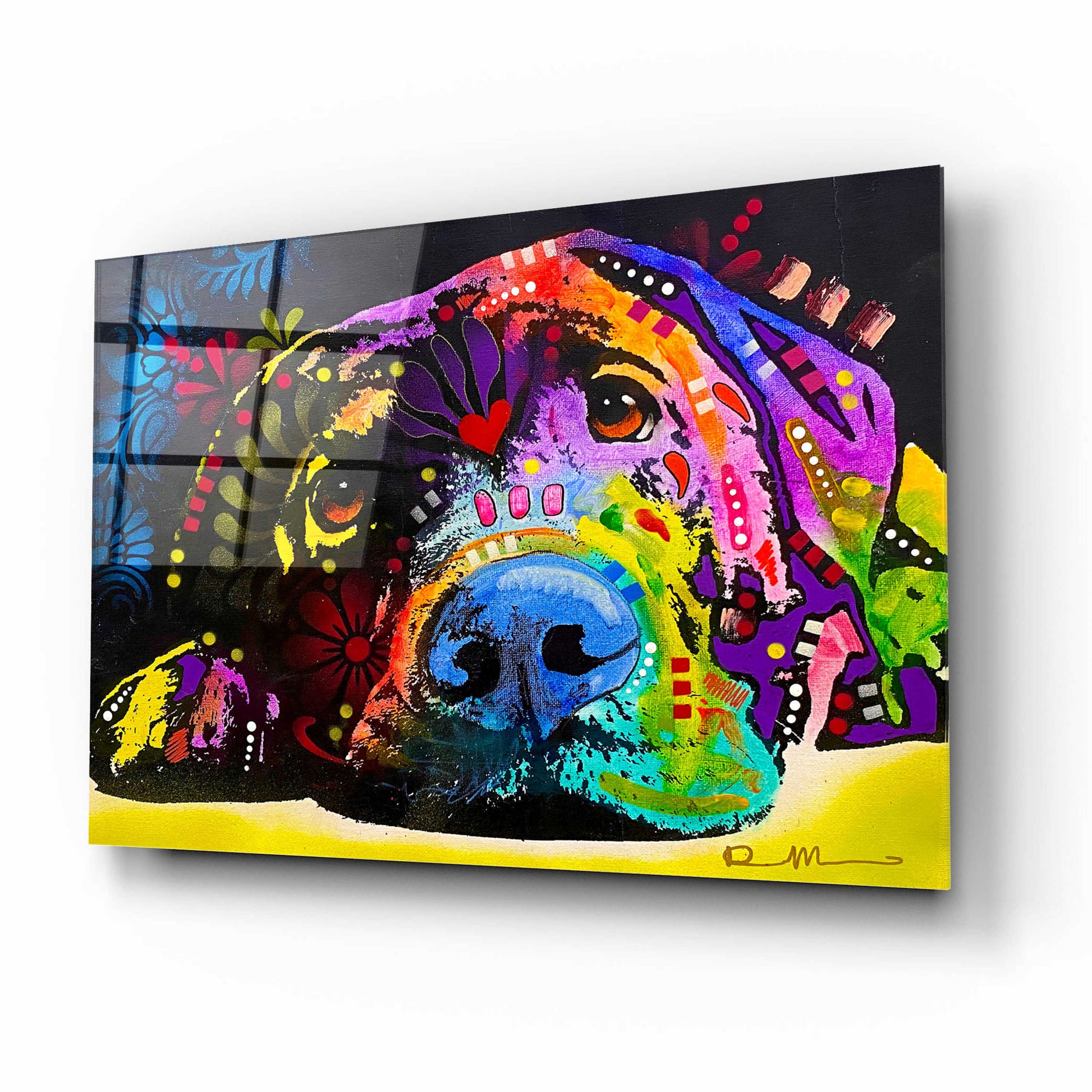 Epic Art 'Lying Lab 2' by Dean Russo, Acrylic Glass Wall Art,16x12