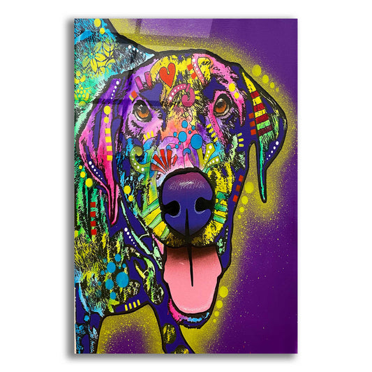 Epic Art 'Oh Whaaat' by Dean Russo, Acrylic Glass Wall Art,