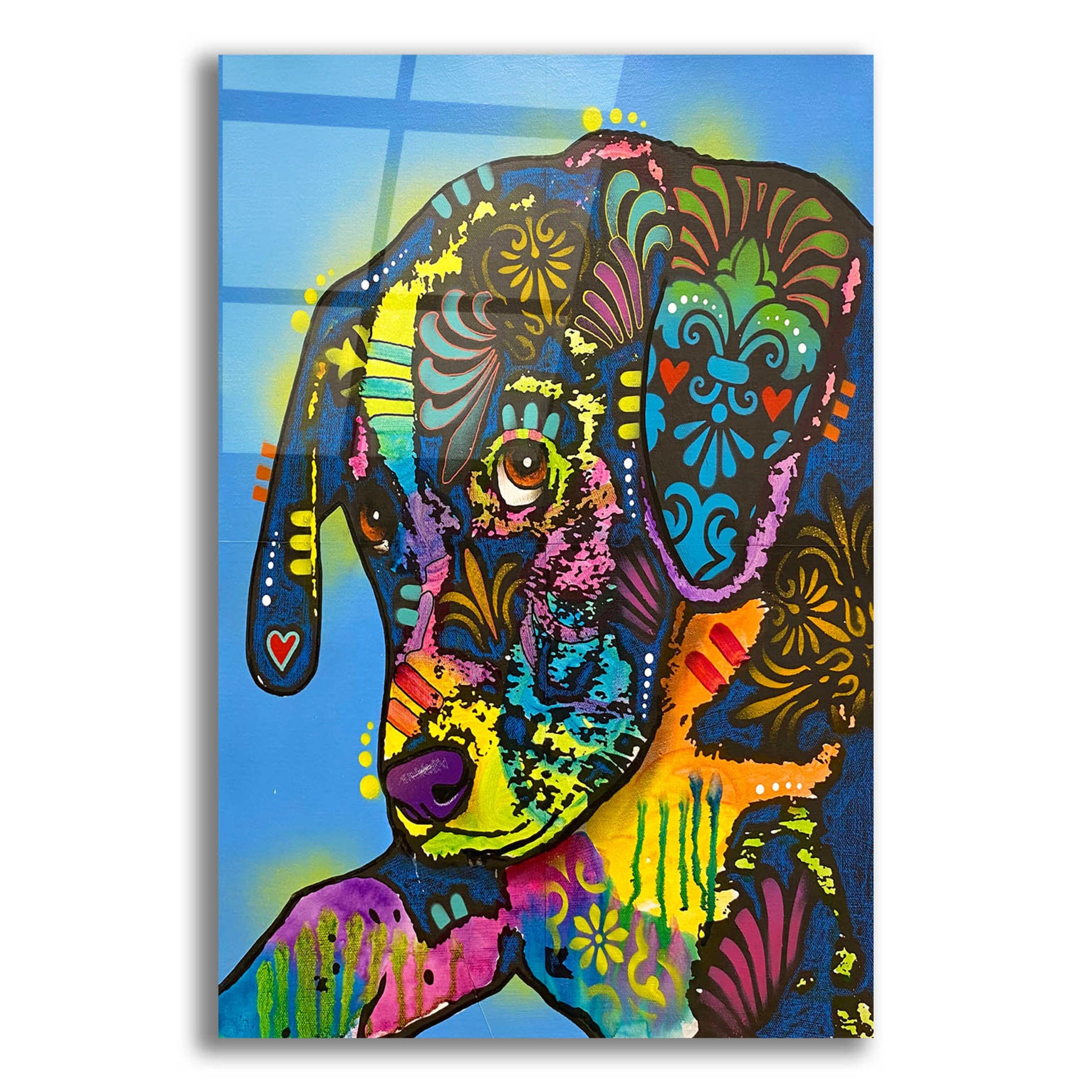 Epic Art 'Not Too Sure About This' by Dean Russo, Acrylic Glass Wall Art,