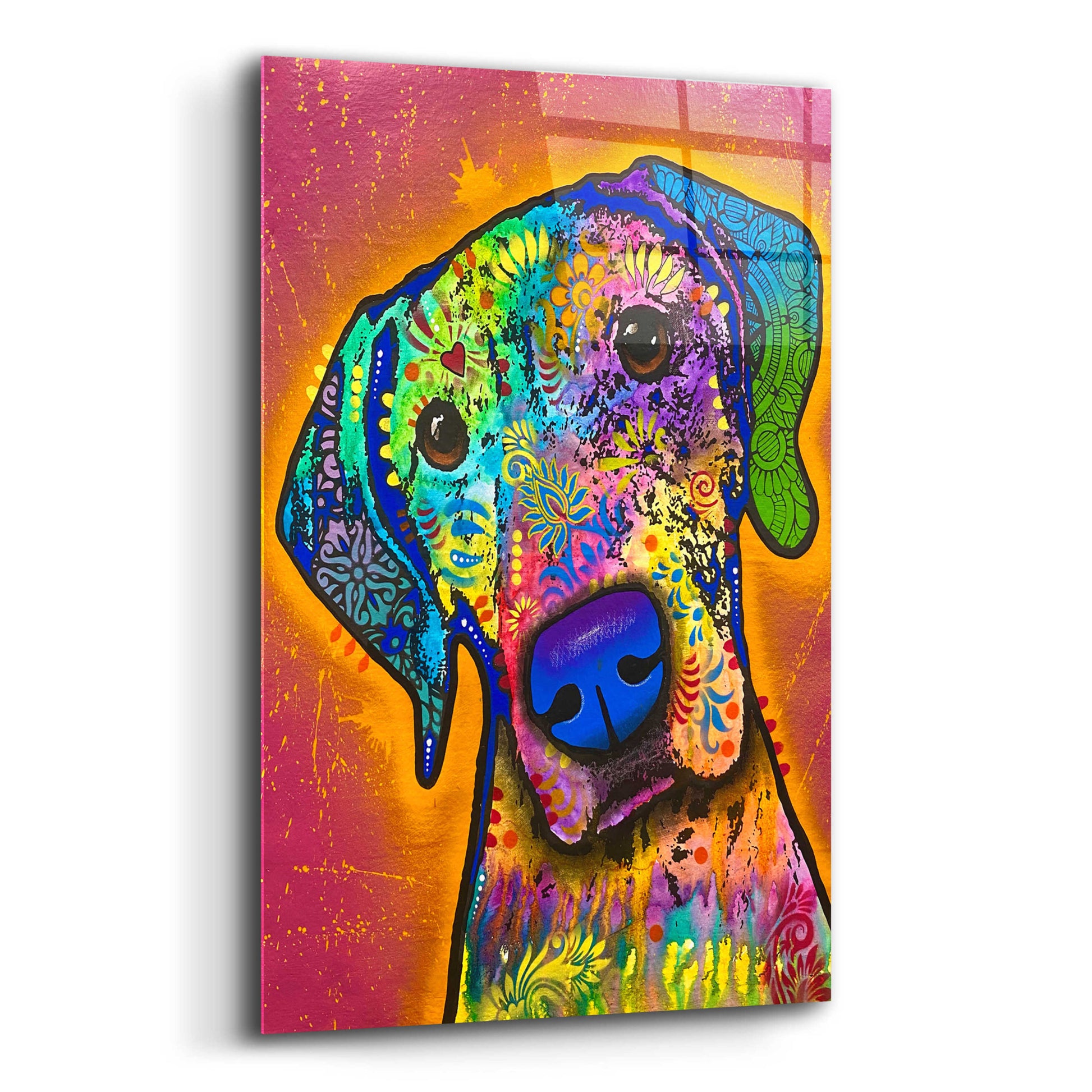 Epic Art 'But Why' by Dean Russo, Acrylic Glass Wall Art,,12x16