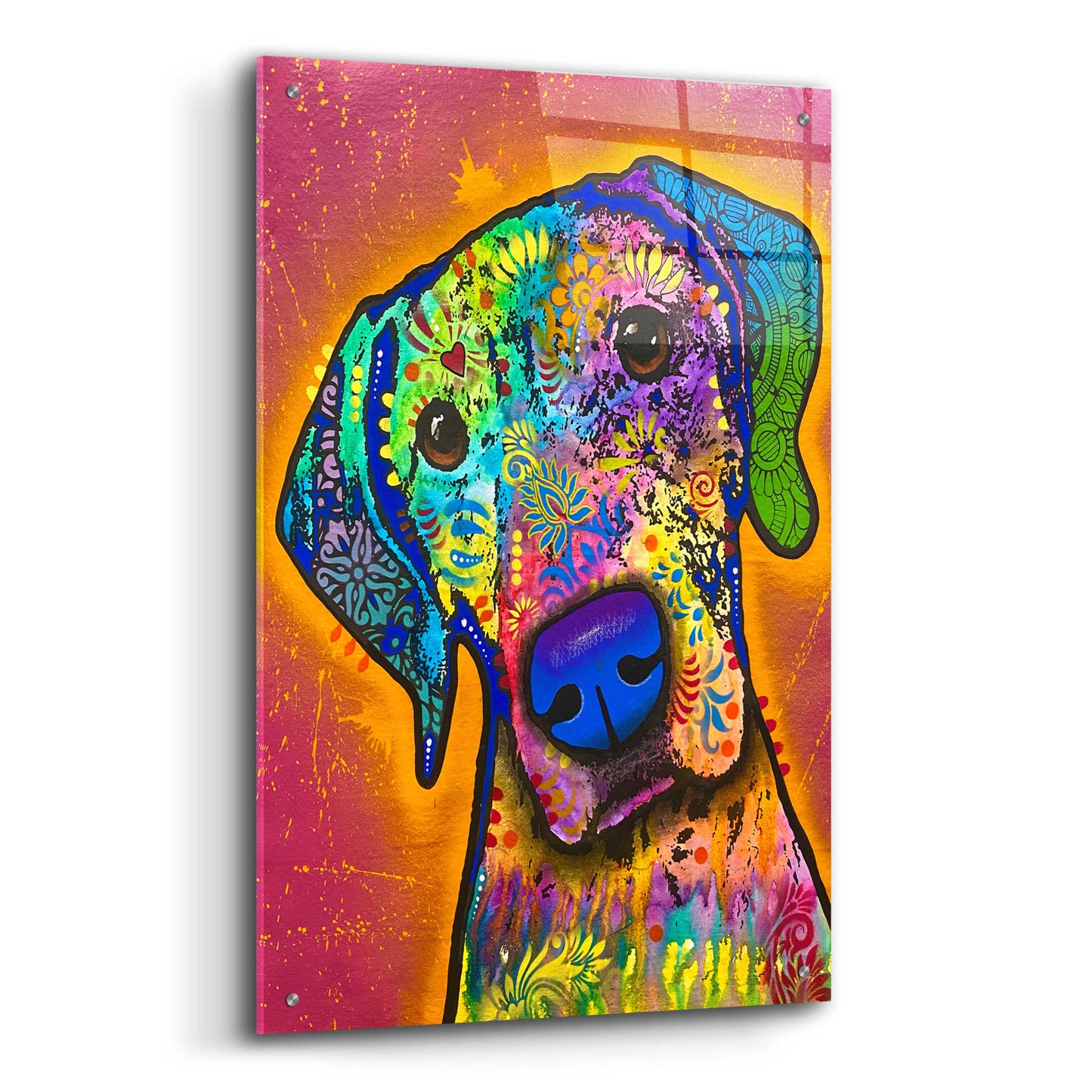 Epic Art 'But Why' by Dean Russo, Acrylic Glass Wall Art,,24x36