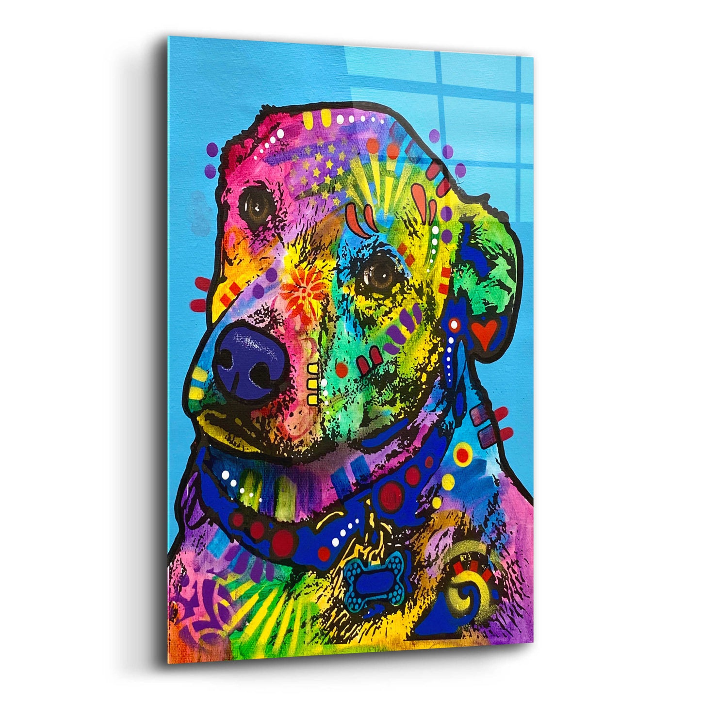 Epic Art 'Heckin Excited' by Dean Russo, Acrylic Glass Wall Art,,12x16