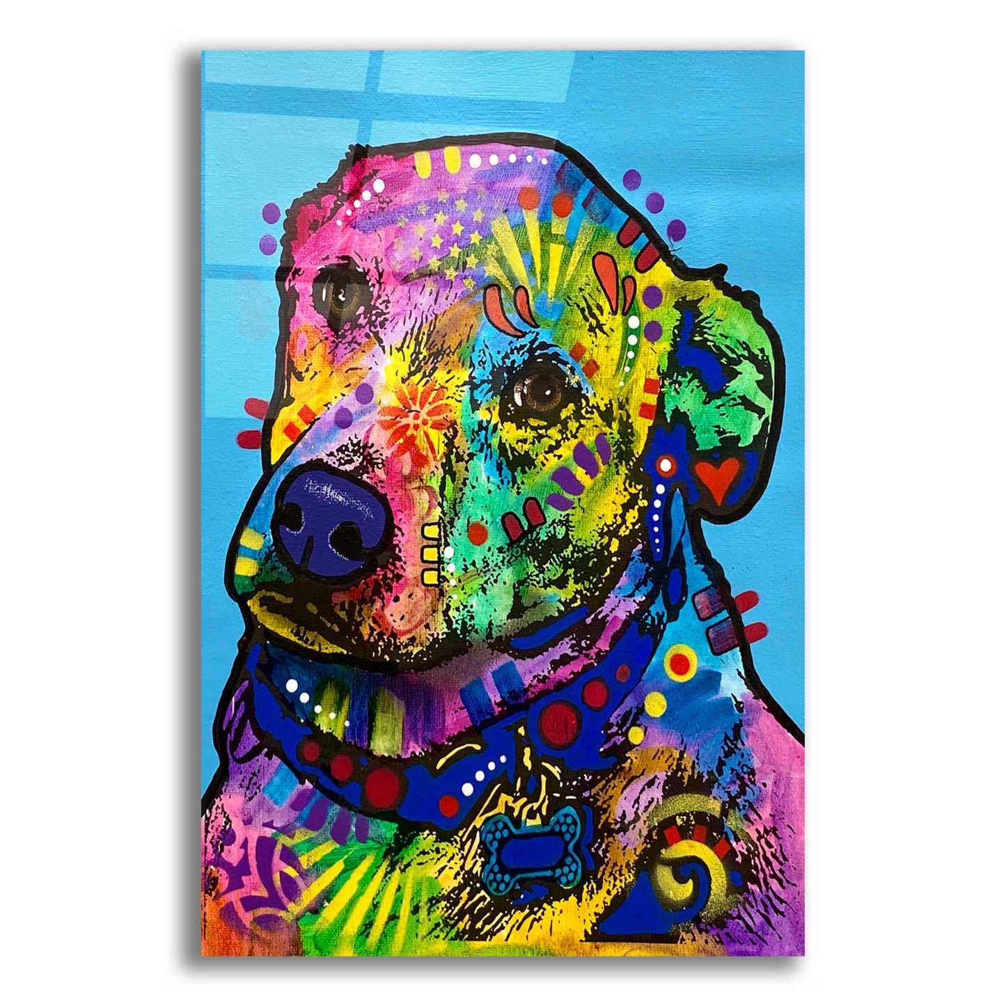 Epic Art 'Heckin Excited' by Dean Russo, Acrylic Glass Wall Art,,12x16