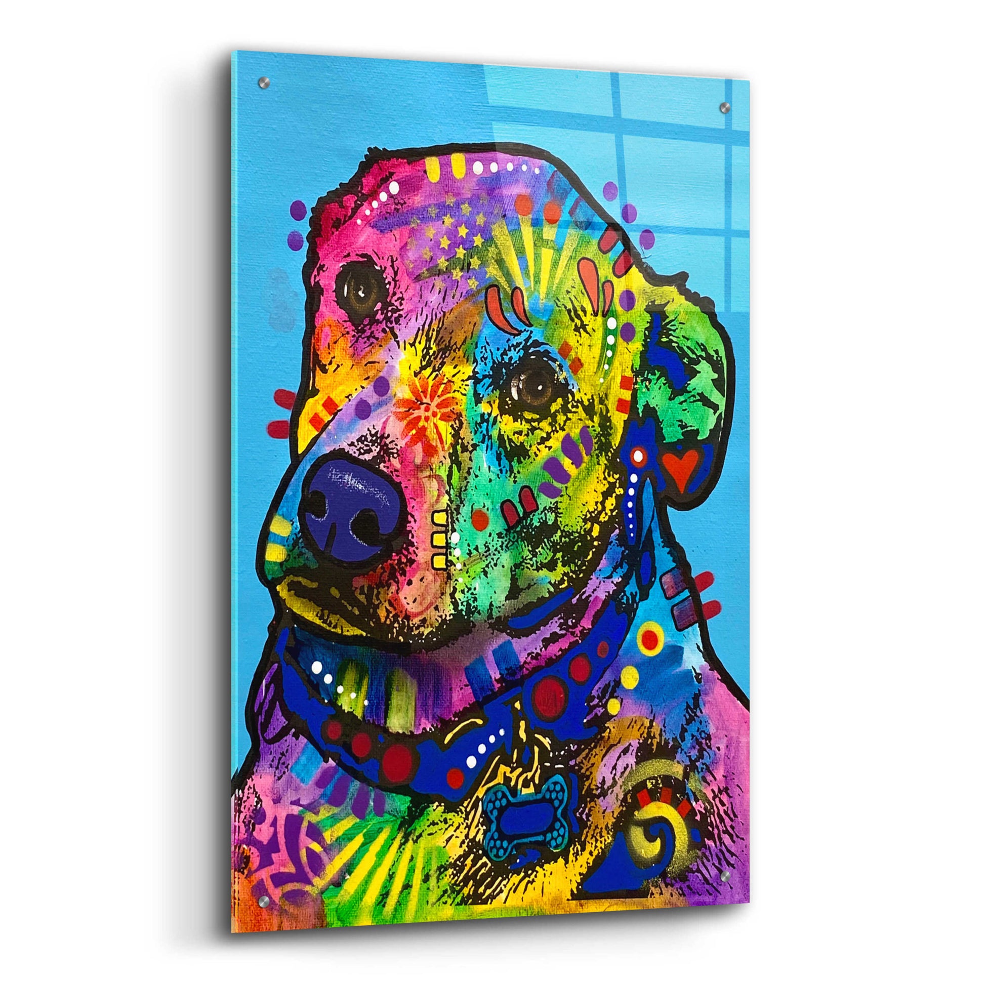 Epic Art 'Heckin Excited' by Dean Russo, Acrylic Glass Wall Art,,24x36