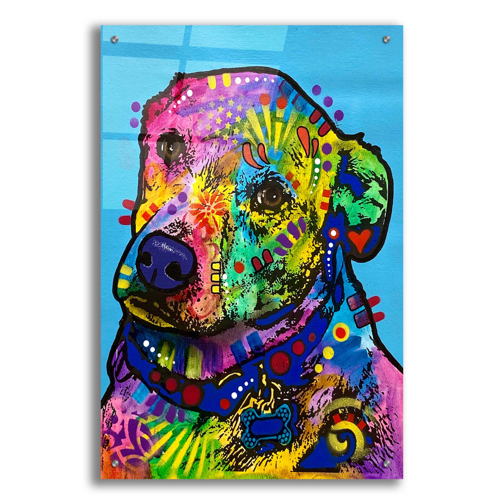 Epic Art 'Heckin Excited' by Dean Russo, Acrylic Glass Wall Art,,24x36