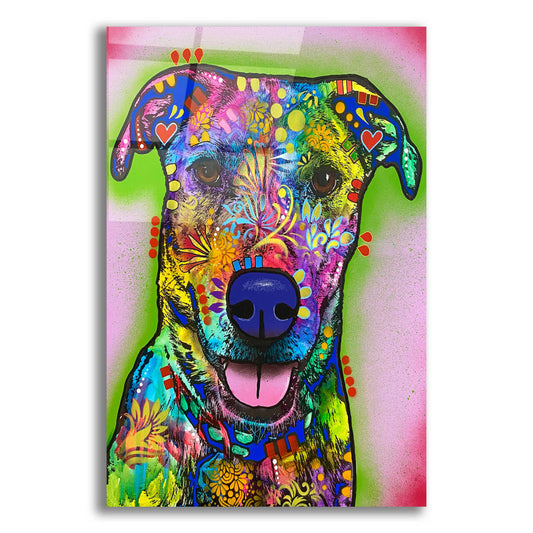 Epic Art 'I Like You A Lot' by Dean Russo, Acrylic Glass Wall Art,