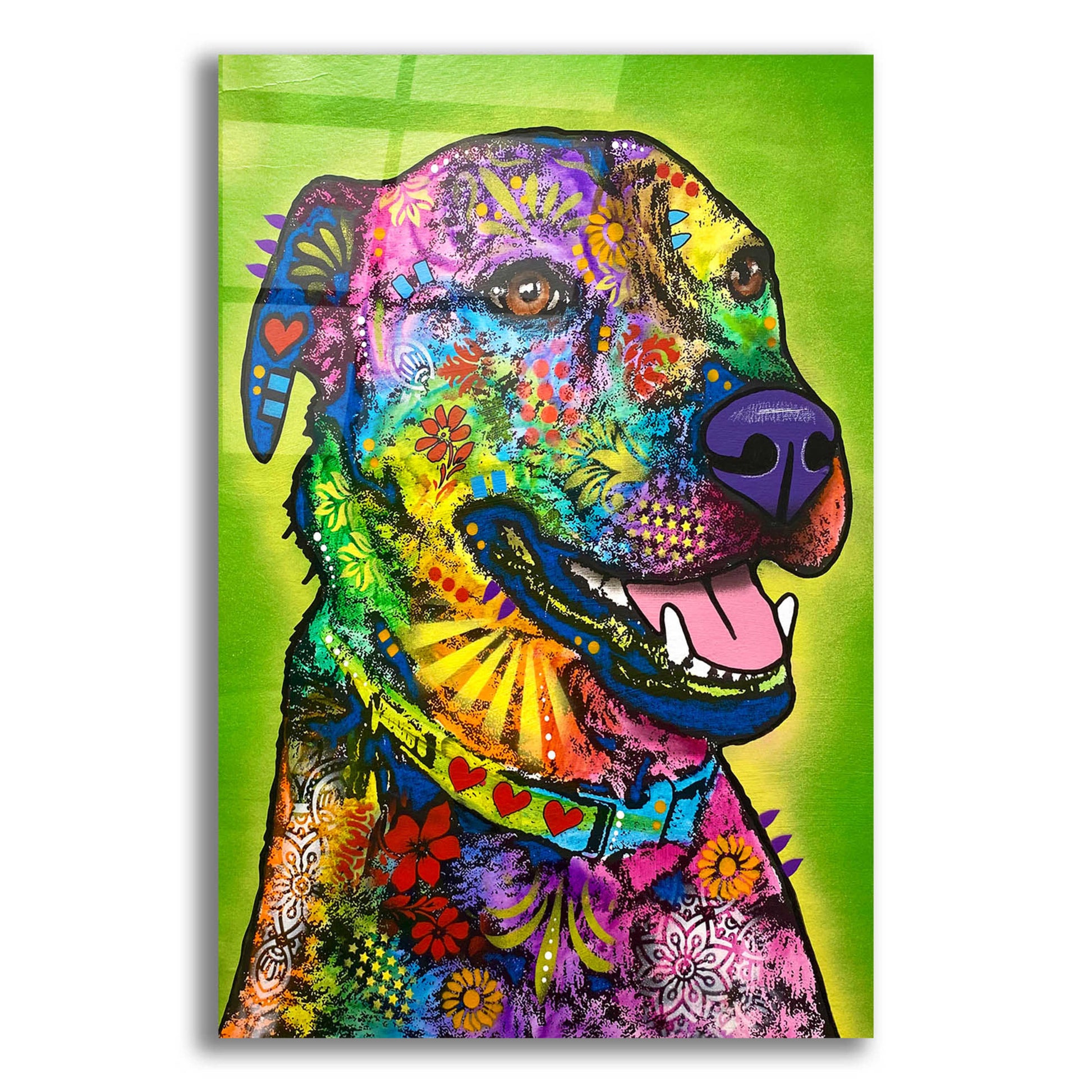 Epic Art 'Am Fren Doing Heckin Alright' by Dean Russo, Acrylic Glass Wall Art,12x16