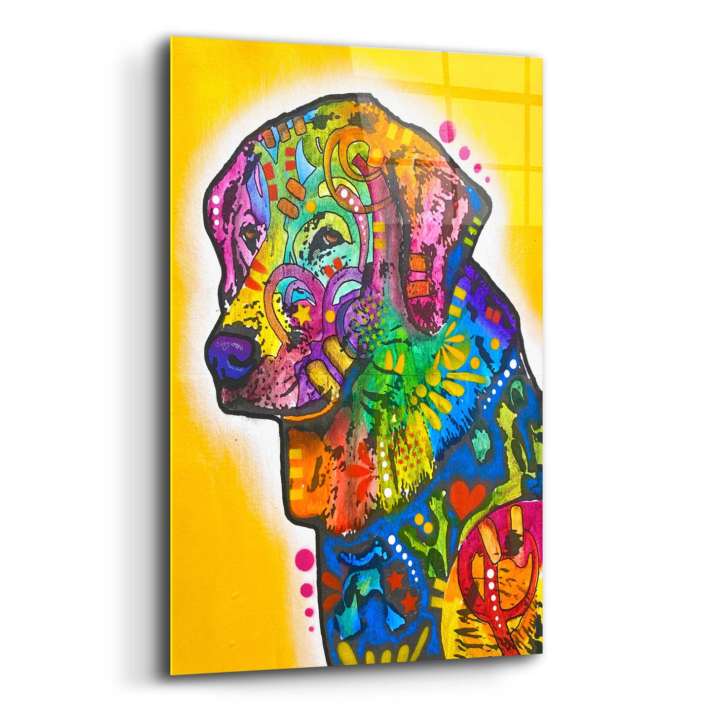 Epic Art 'I'm Sorry I Boofed' by Dean Russo, Acrylic Glass Wall Art,12x16