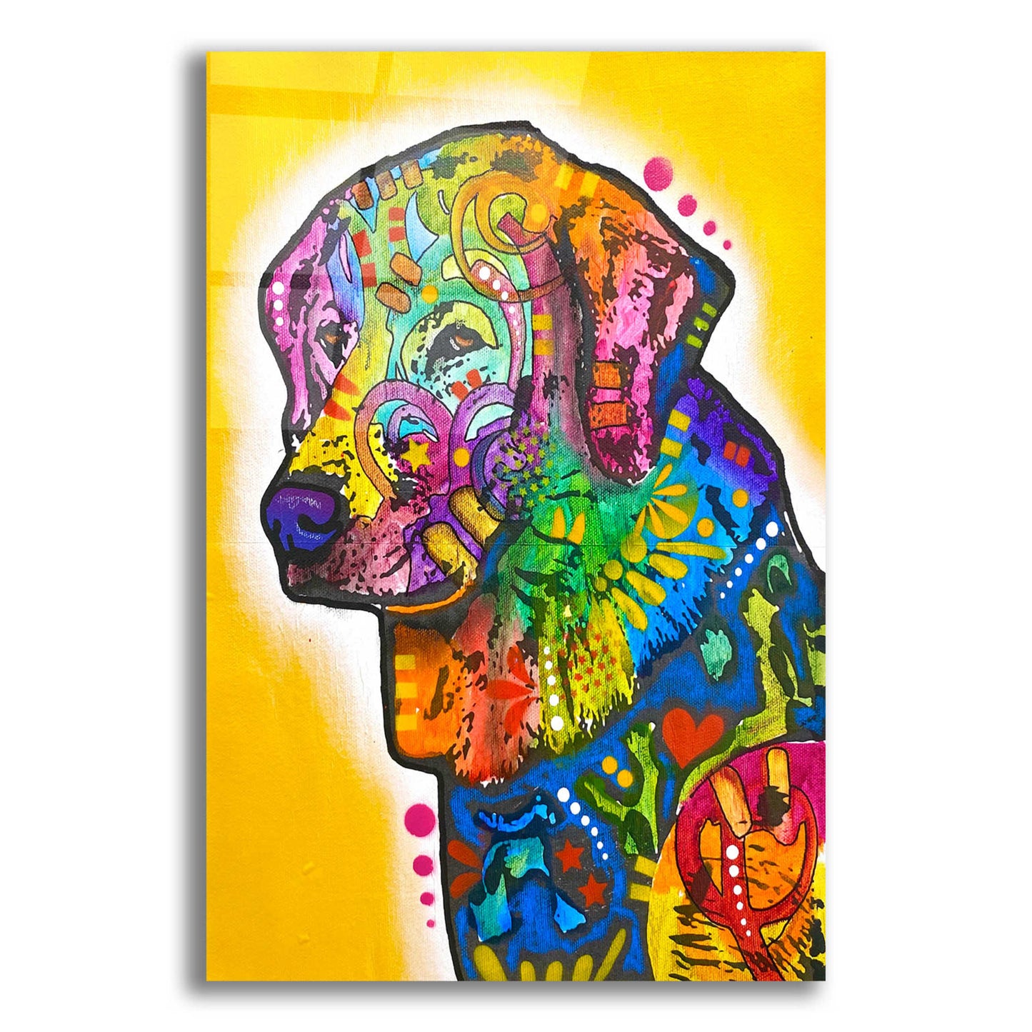 Epic Art 'I'm Sorry I Boofed' by Dean Russo, Acrylic Glass Wall Art,12x16