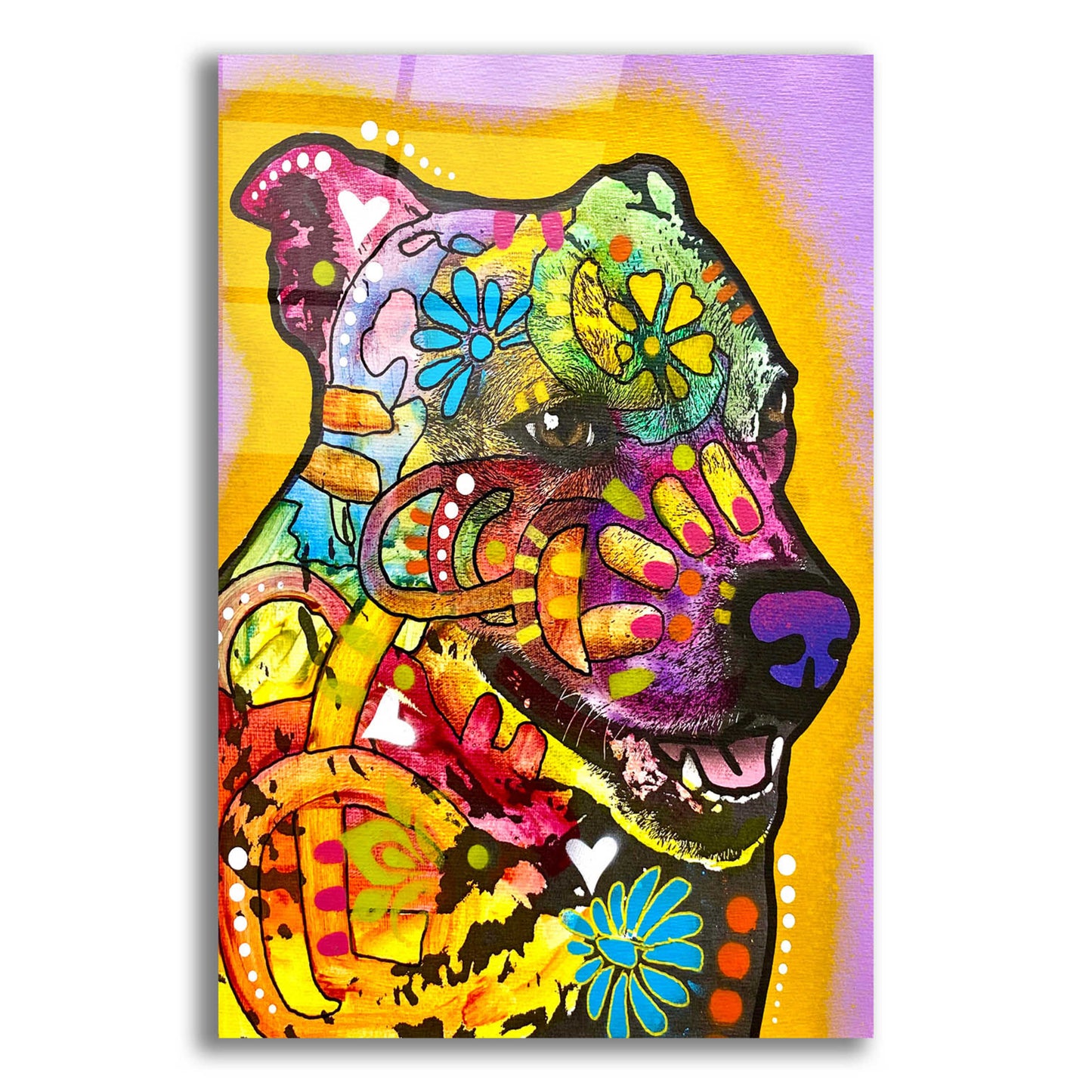 Epic Art 'Ready For Zoomies' by Dean Russo, Acrylic Glass Wall Art,12x16