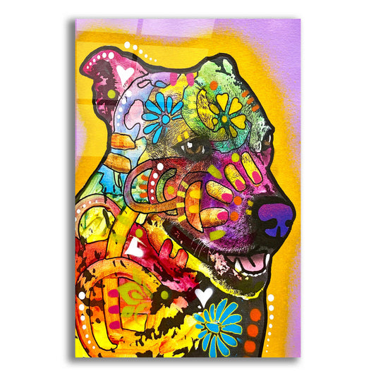 Epic Art 'Ready For Zoomies' by Dean Russo, Acrylic Glass Wall Art